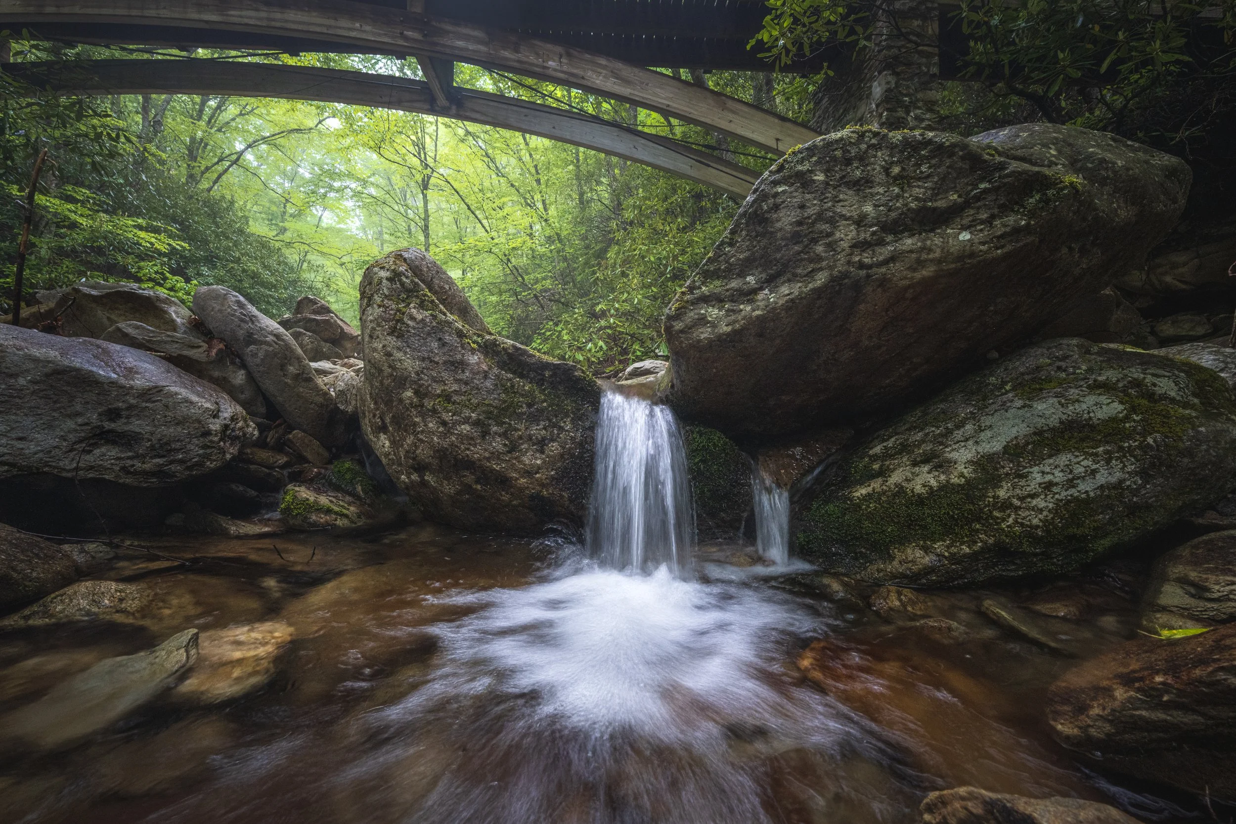 summer2026-tanawhabridge.jpg