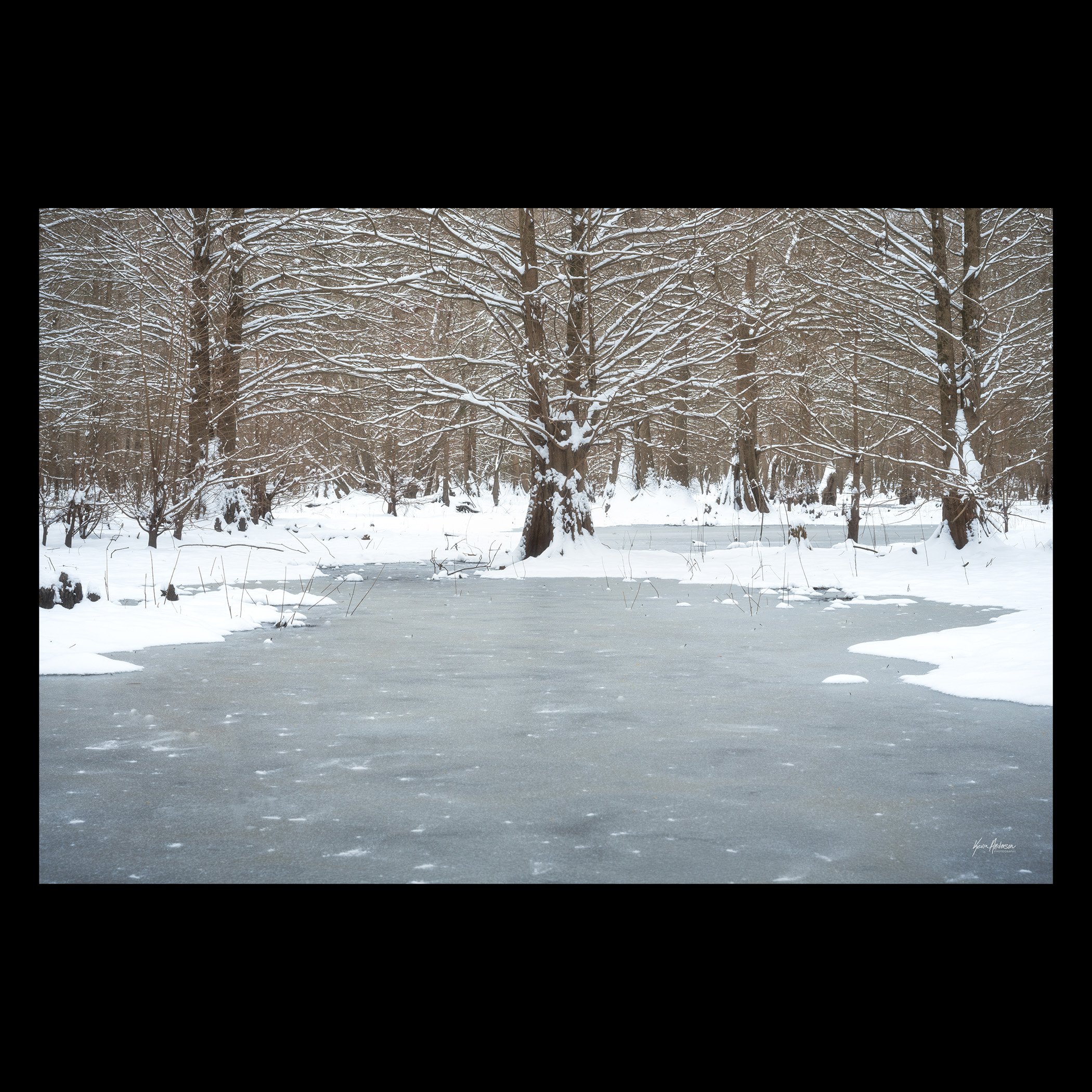 snowycypresswebsitestore.jpg