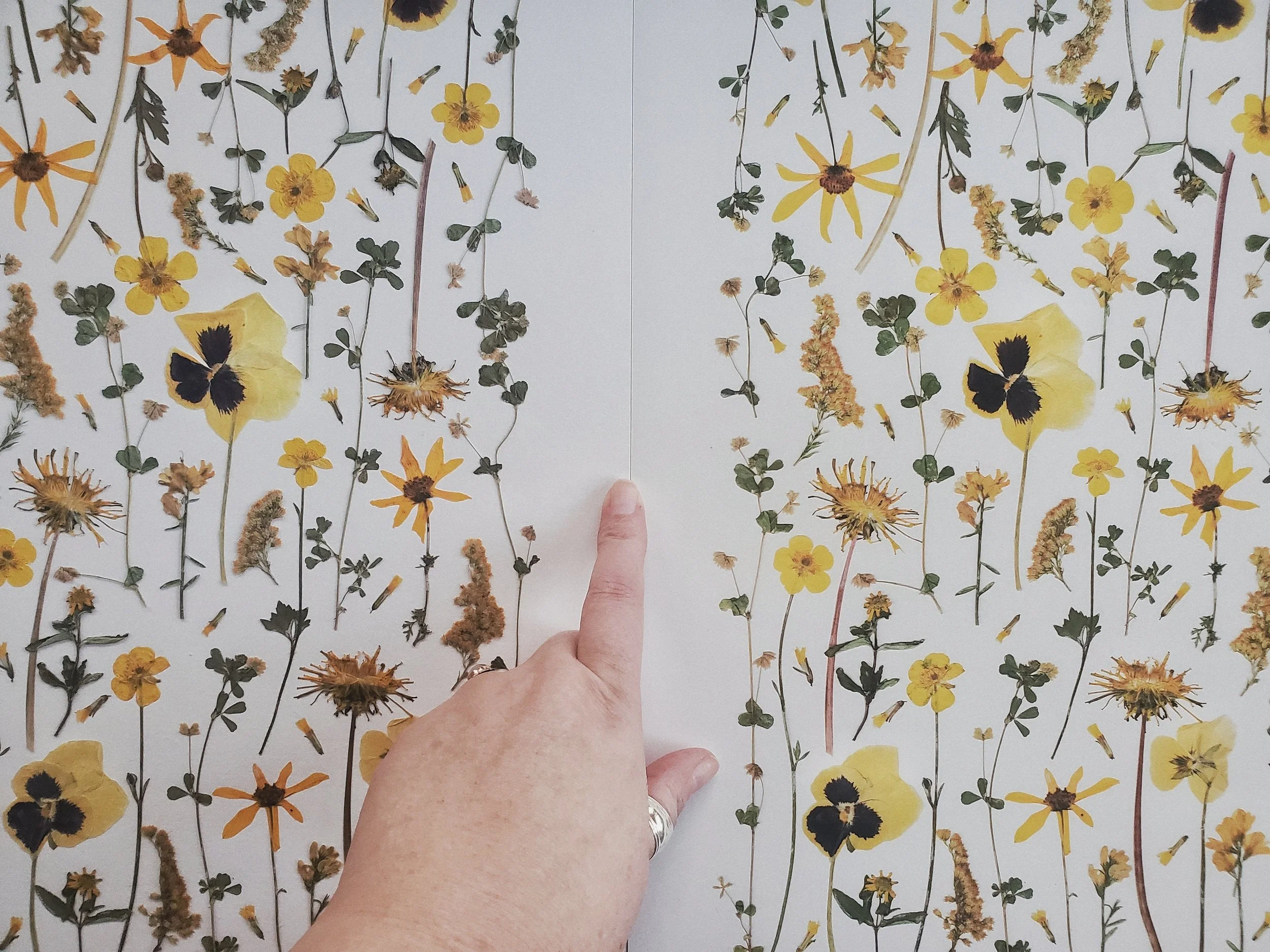 The original and an archival giclée print of a pressed flower composition shown side by side, with a hand pointing to the join between them.