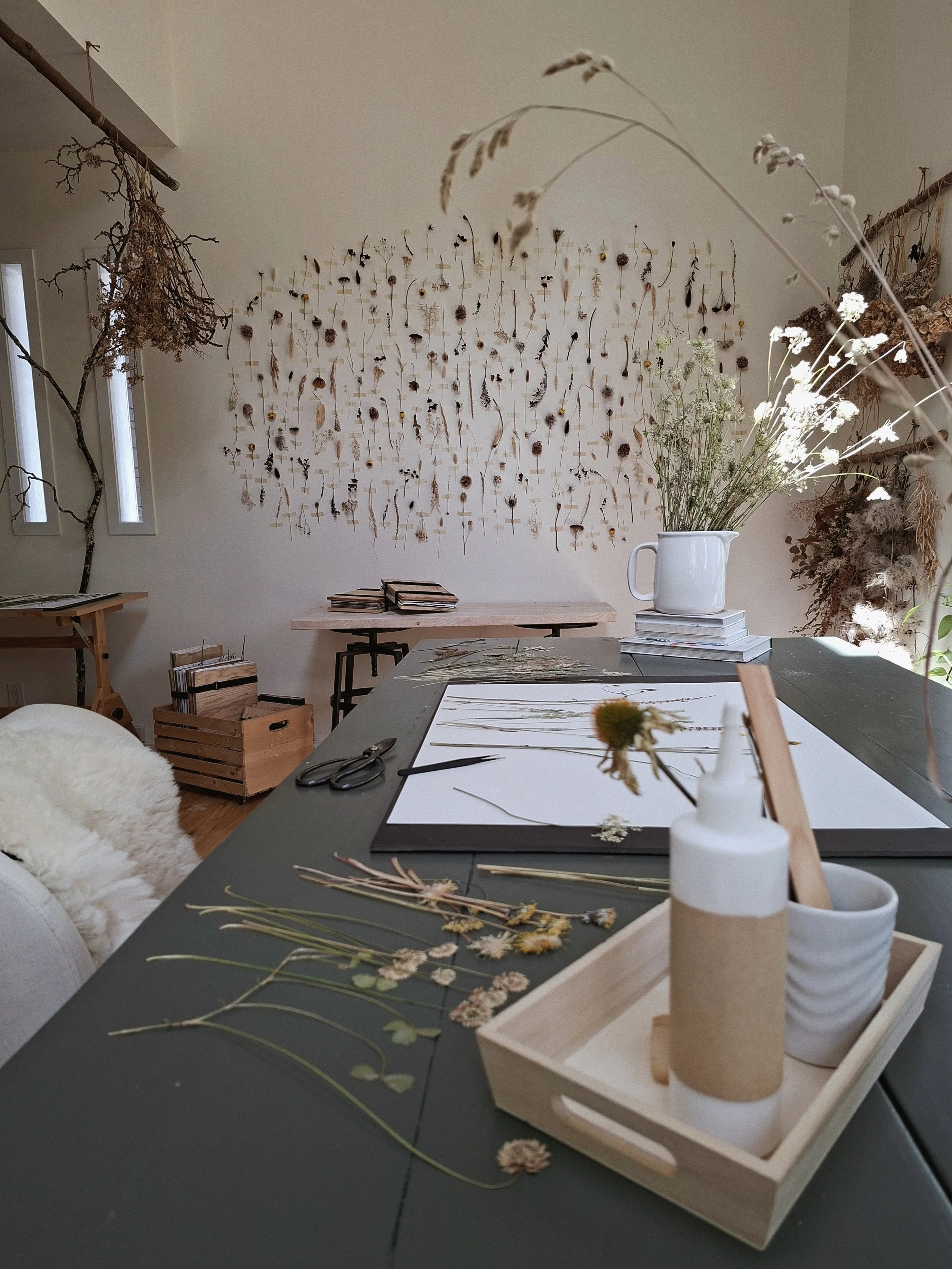 Jill Margo Studio with pressed flora compositions in progress on a dark green worktable and a botanical installation covering the wall beyond.
