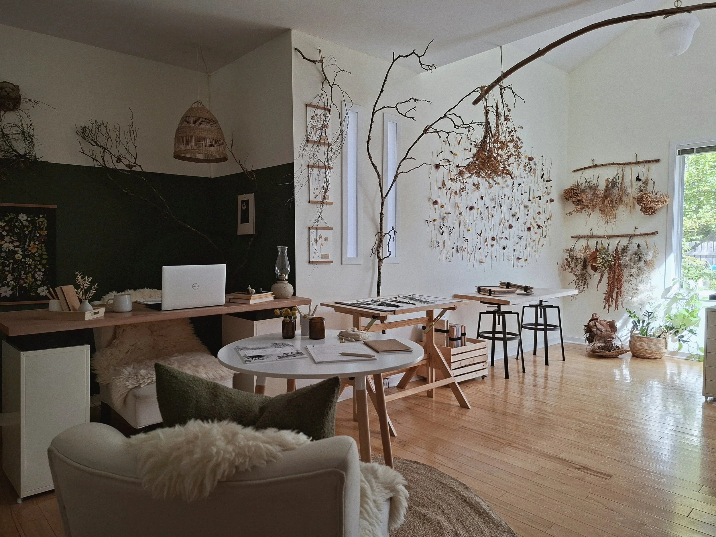 A light-filled working studio with wood floors, botanical specimens and dried plants displayed on the walls, worktables, books, and natural materials throughout.