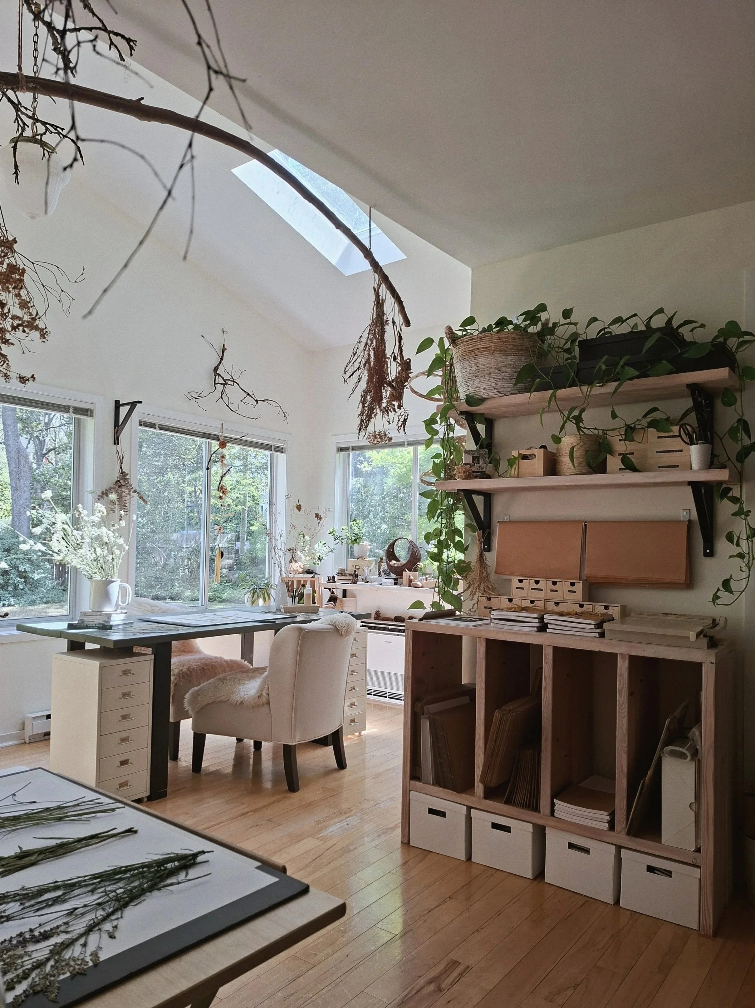 Jill Margo Studio with multiple workstations, three large windows and a skylight, overlooking a green garden.