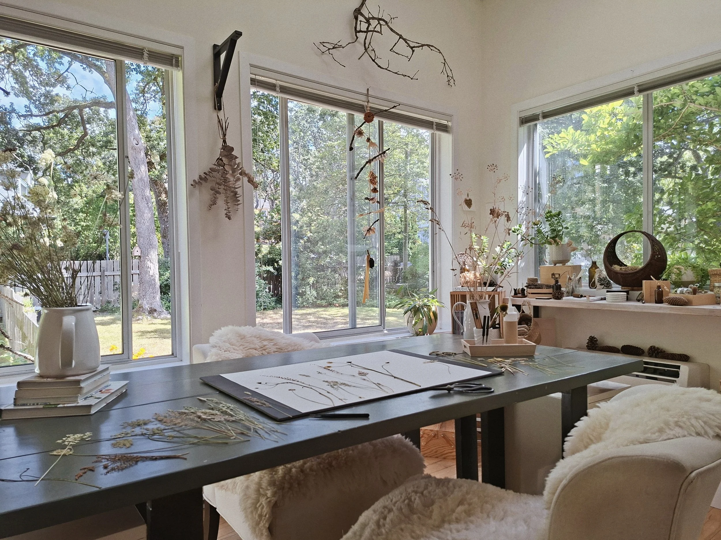 A dark green table with a pressed-flora composition in progress, surrounded by windows.