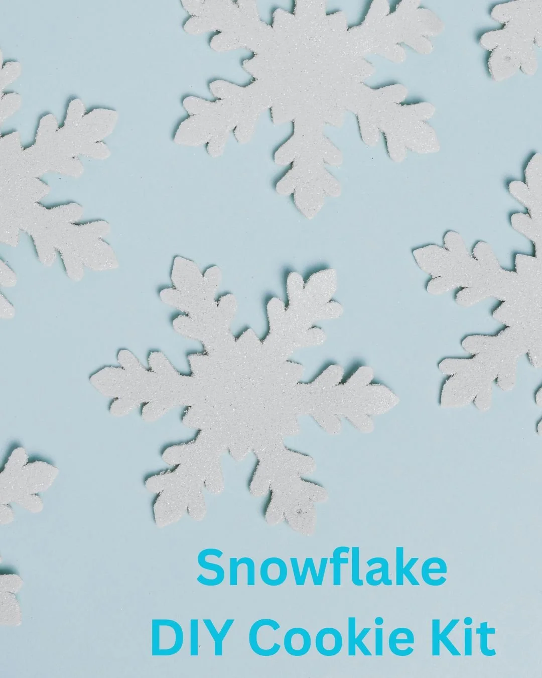 Snowflake DIY Cookie Kit