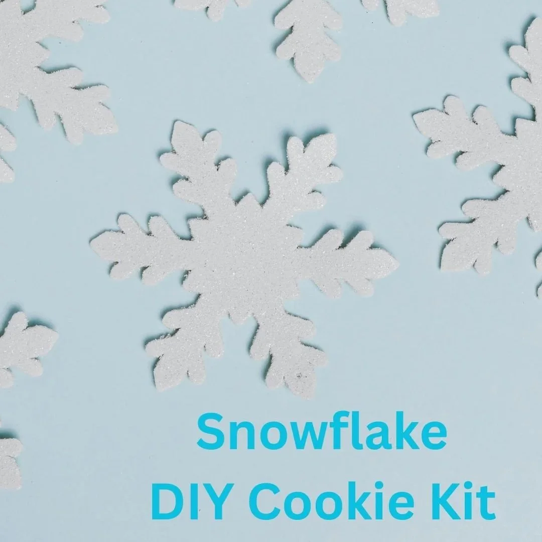 Snowflake+DIY+Cookie+Kit+IG+post.jpg