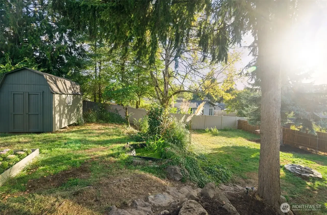 A backyard with a green shed, trees, and a grassy area illuminated by sunlight, with fencing around the yard.