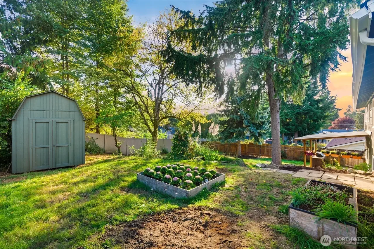 Backyard garden with green grass, trees, a small shed, flower beds with blooming plants, and a fence during sunset.
