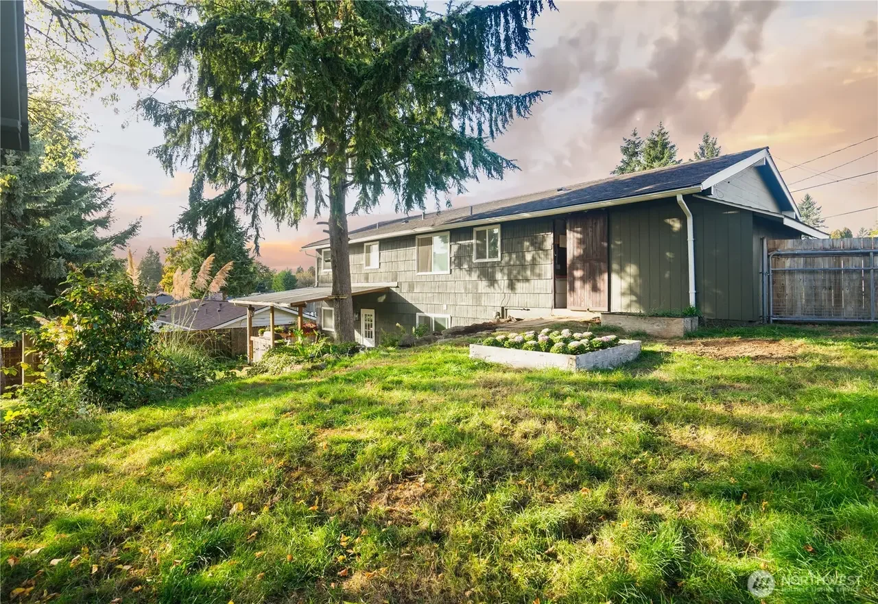 A backyard with a green lawn, large trees, and a house with gray siding and a black roof, during sunset.