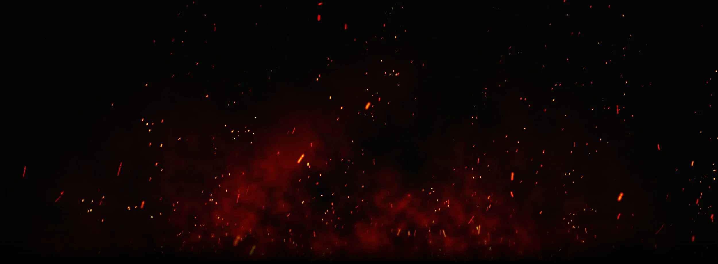 header.jpg