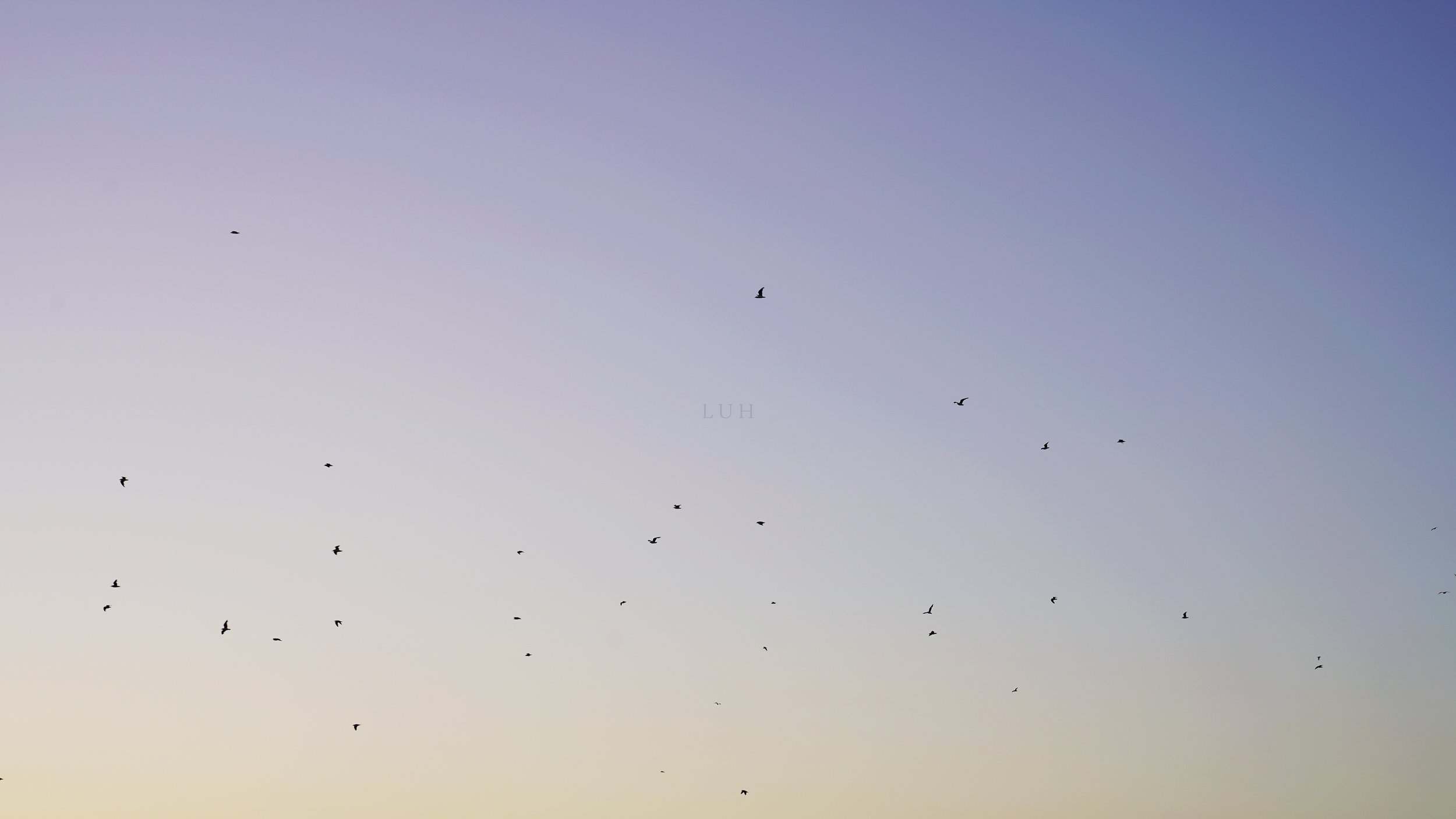 LUH by PIANIKA song cover art