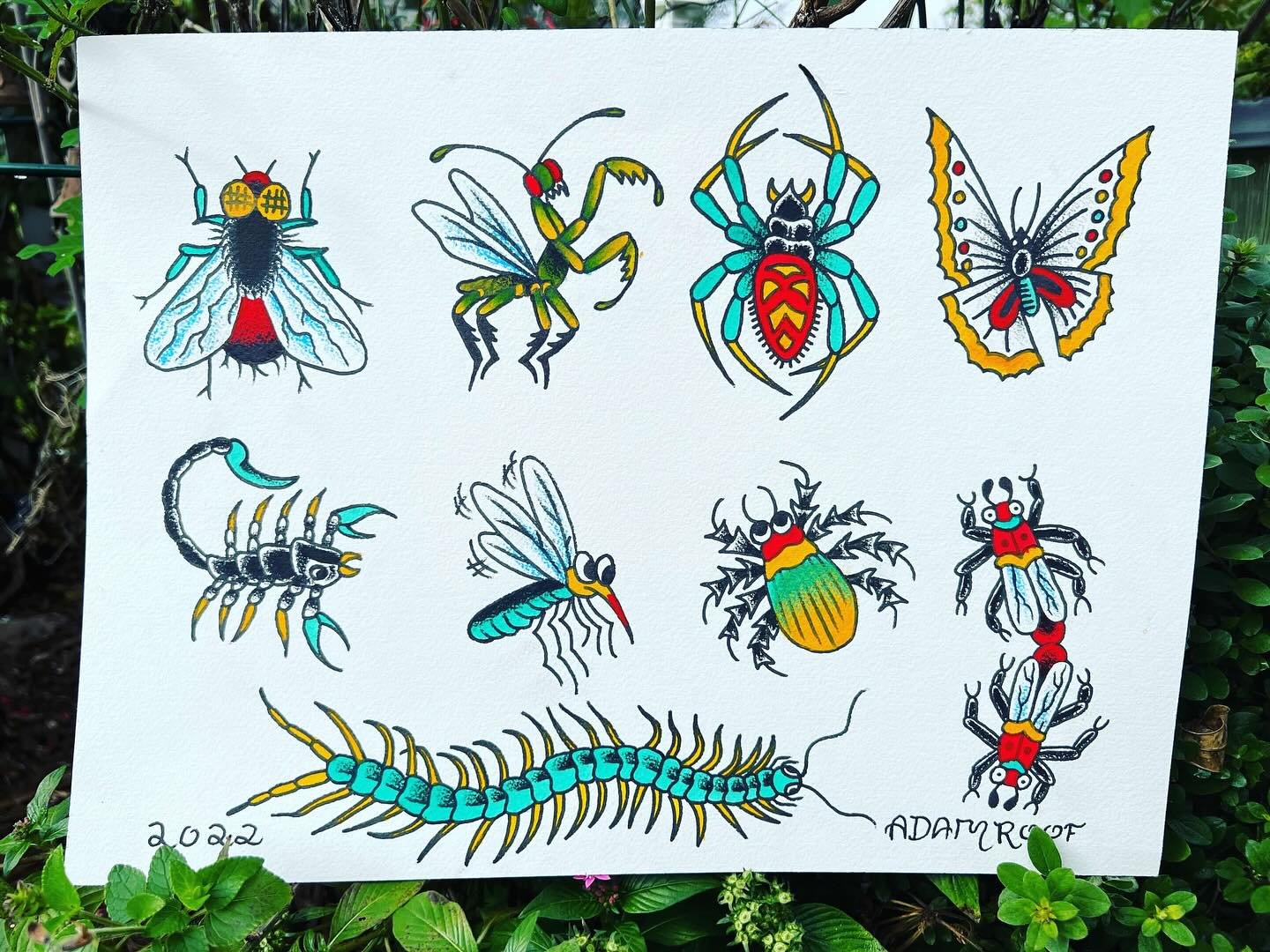 A few flash sheets and tattoos from years past

#yborcity #ybortattoo #yborcitytattoocompany #bright_and_bold #radtrad #americanatattoos #boldwillhold #loyaltothecoil #americantraditionaltattoos