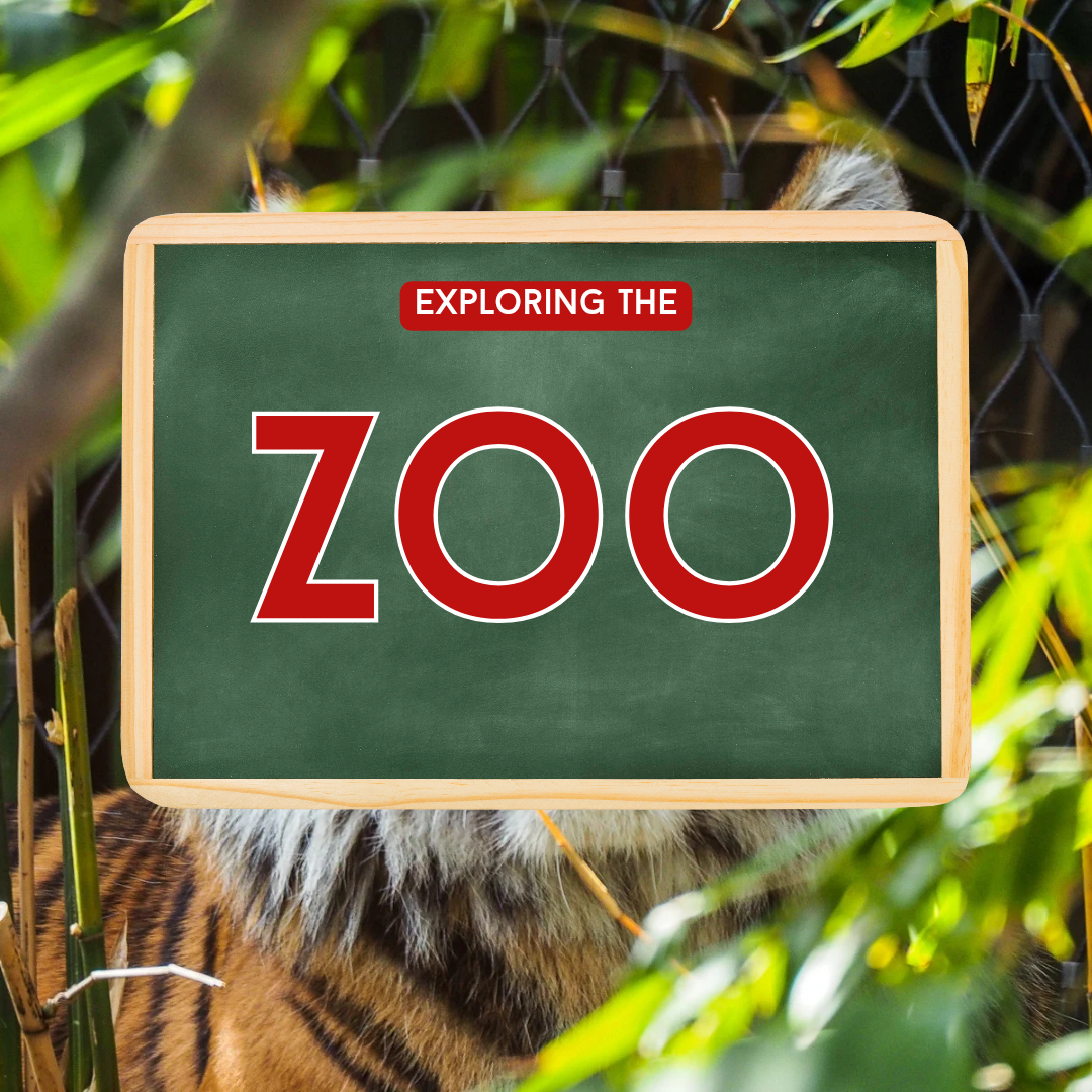 Exploring The Zoo