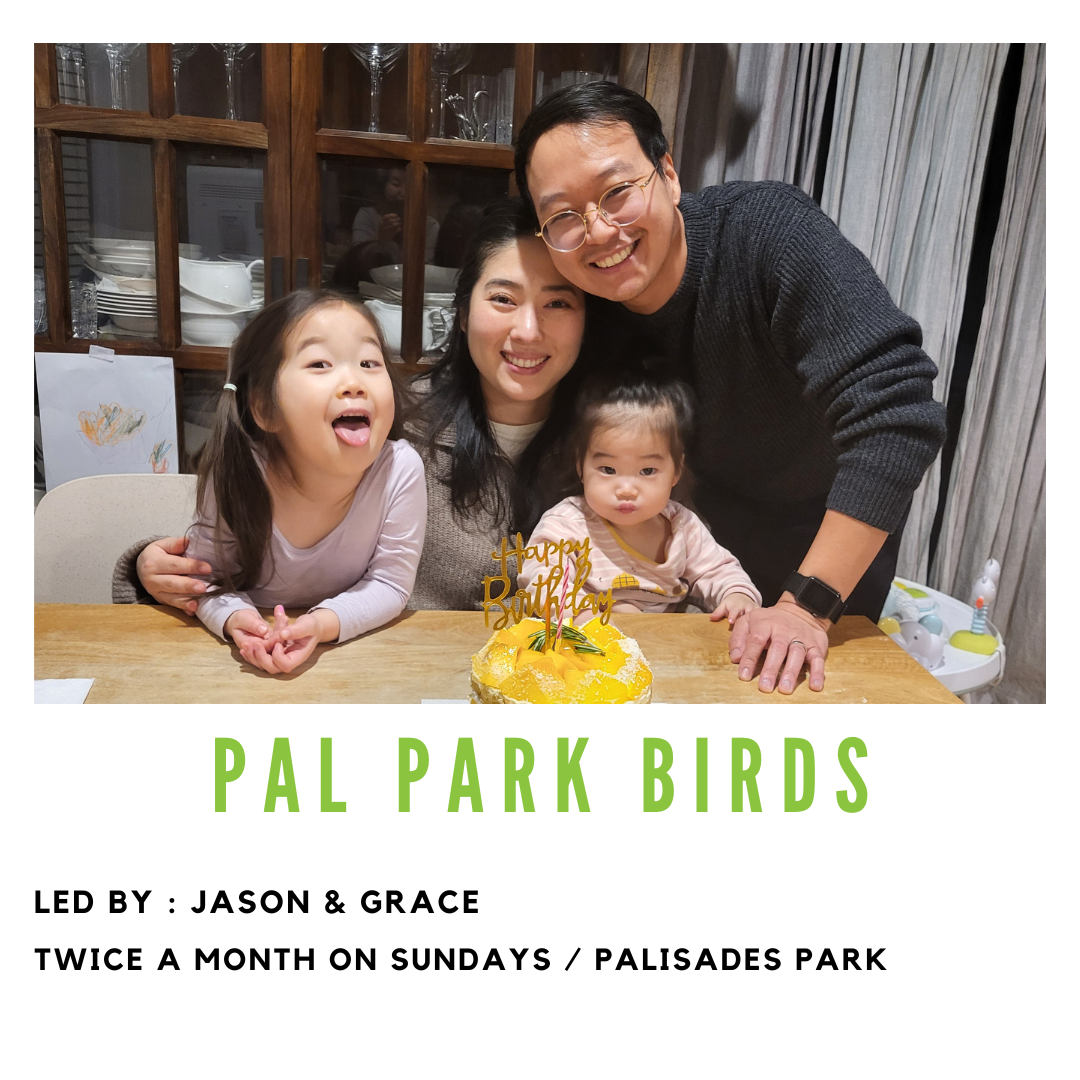Pal Park Birds.png
