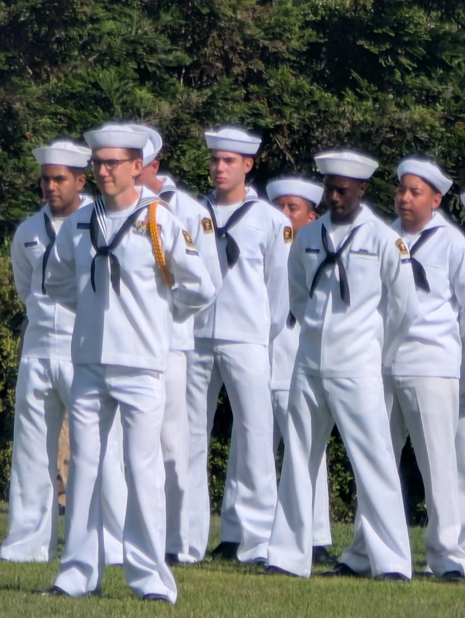 IMG_20260627_141324.jpg