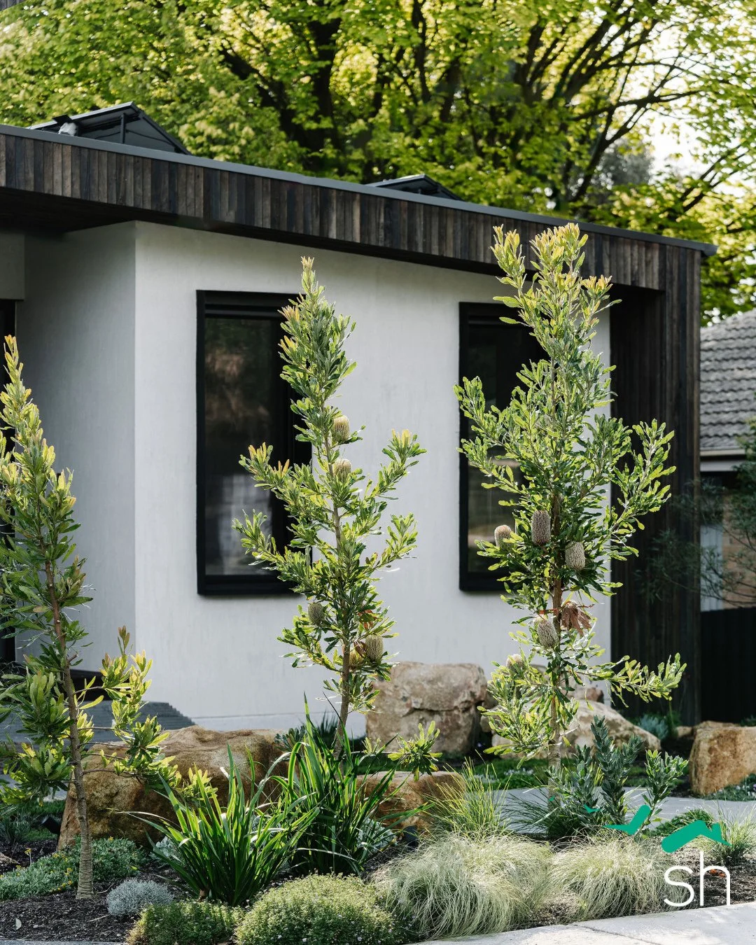 Meet Kambea: Australia&rsquo;s FIRST hempcrete Passive House! 🌿 ⁠
⁠
Building this dream for our clients was an incredible milestone for the Sanctum team and a significant victory for sustainable construction. But for us, 'high performance' is about 