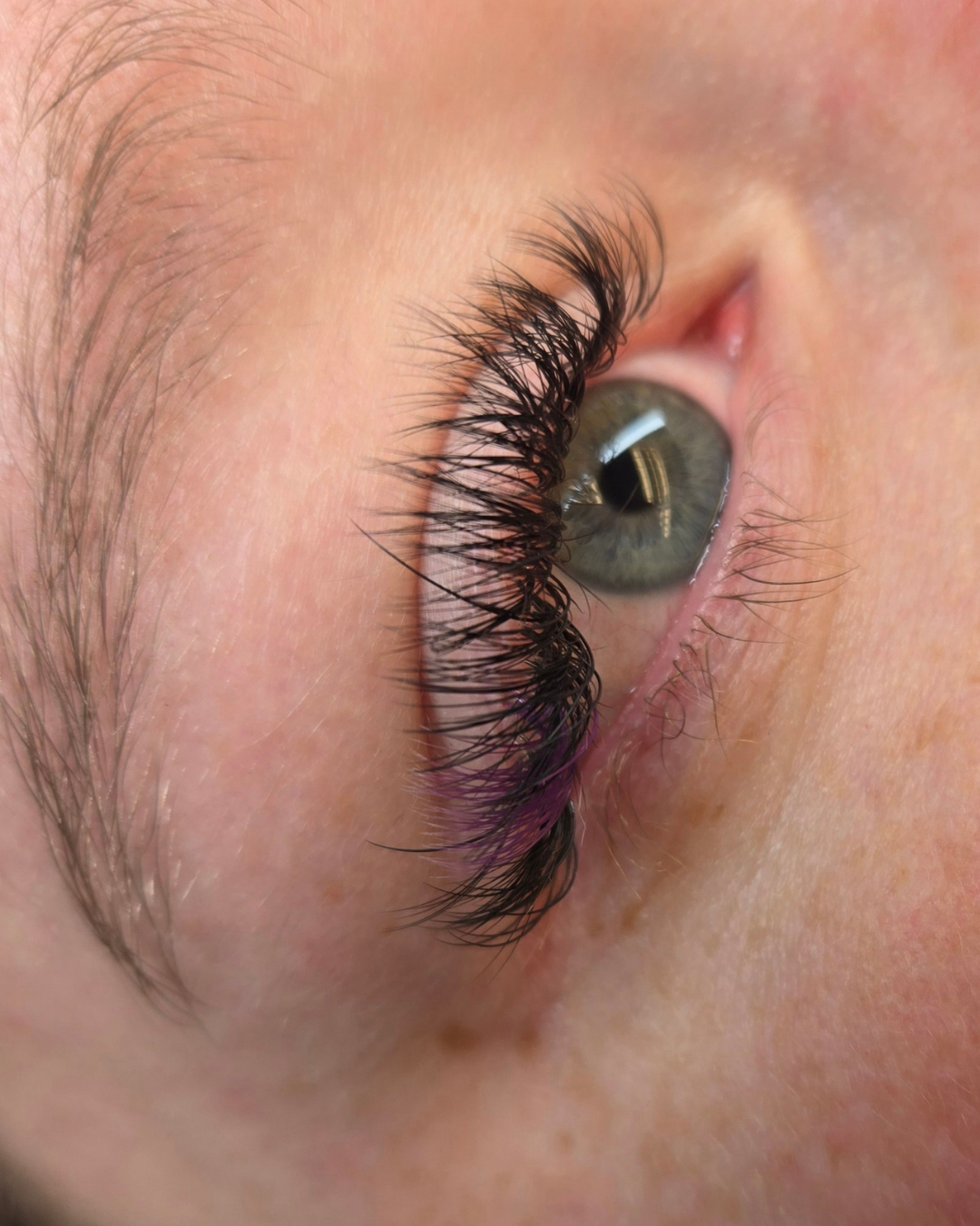 purple.png