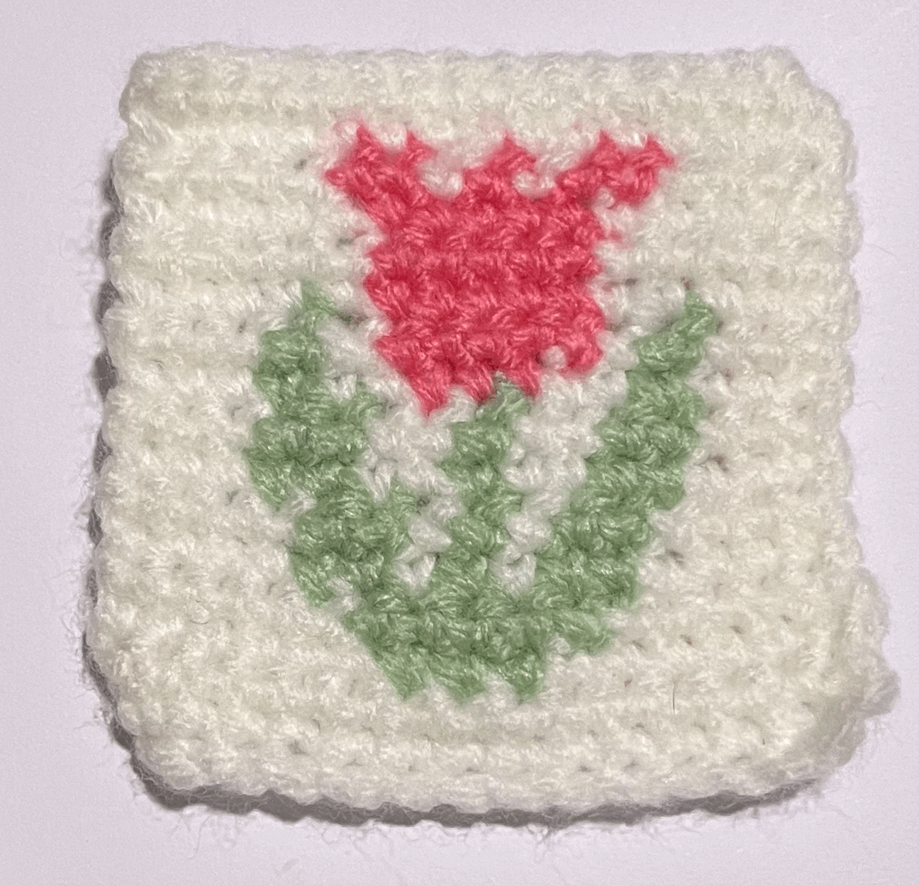 Tapestry Crochet Workshop