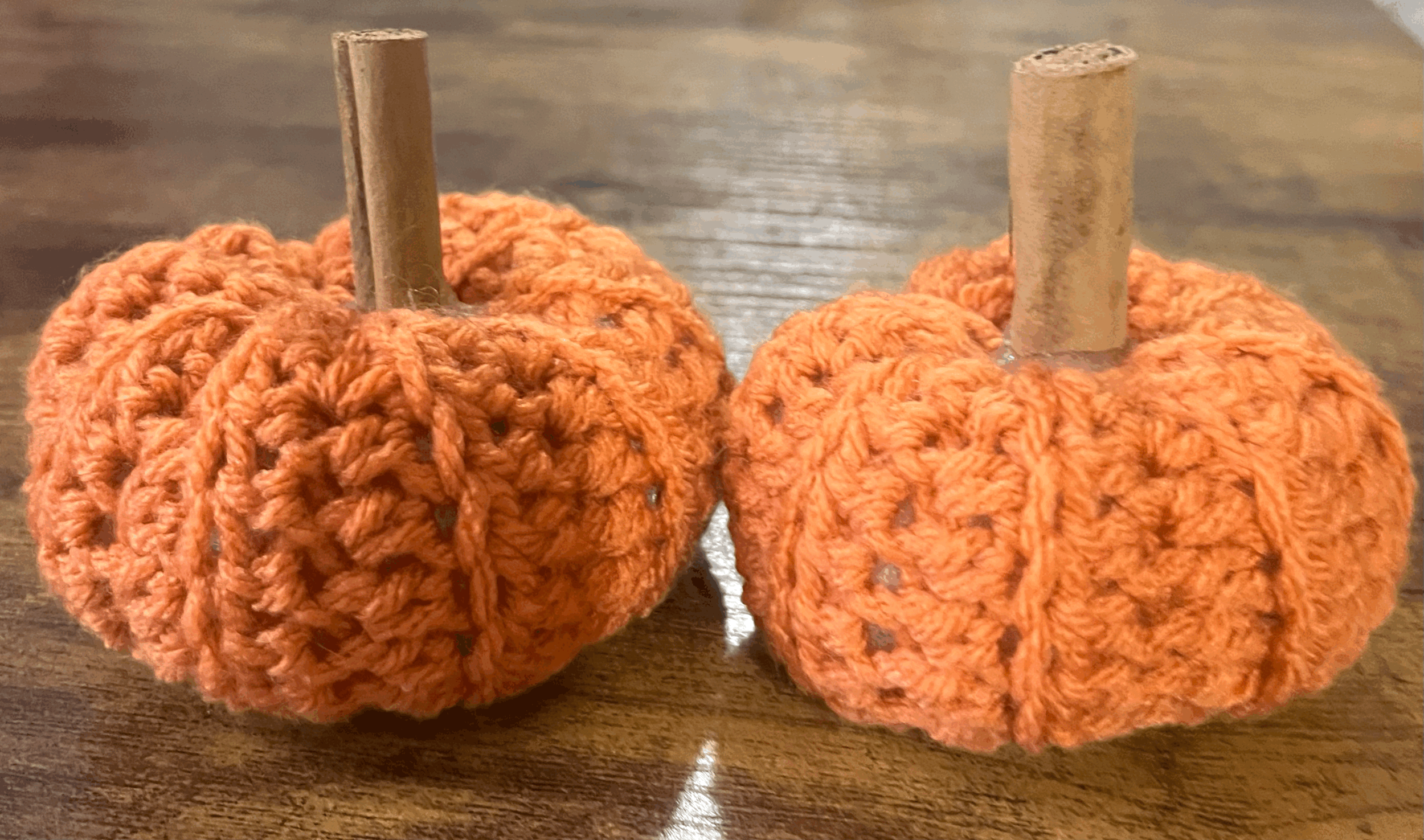 Crochet Pumpkin Plushie Workshop
