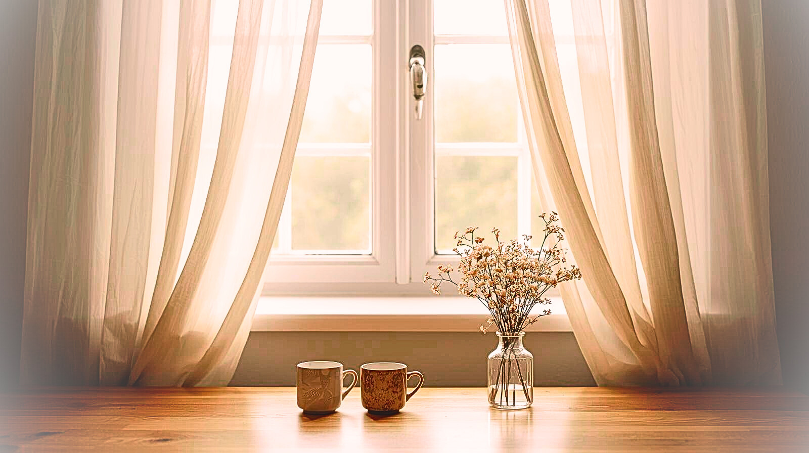 Progression of chamomile flowers from buds to full blooms against a soft green bokeh background.
