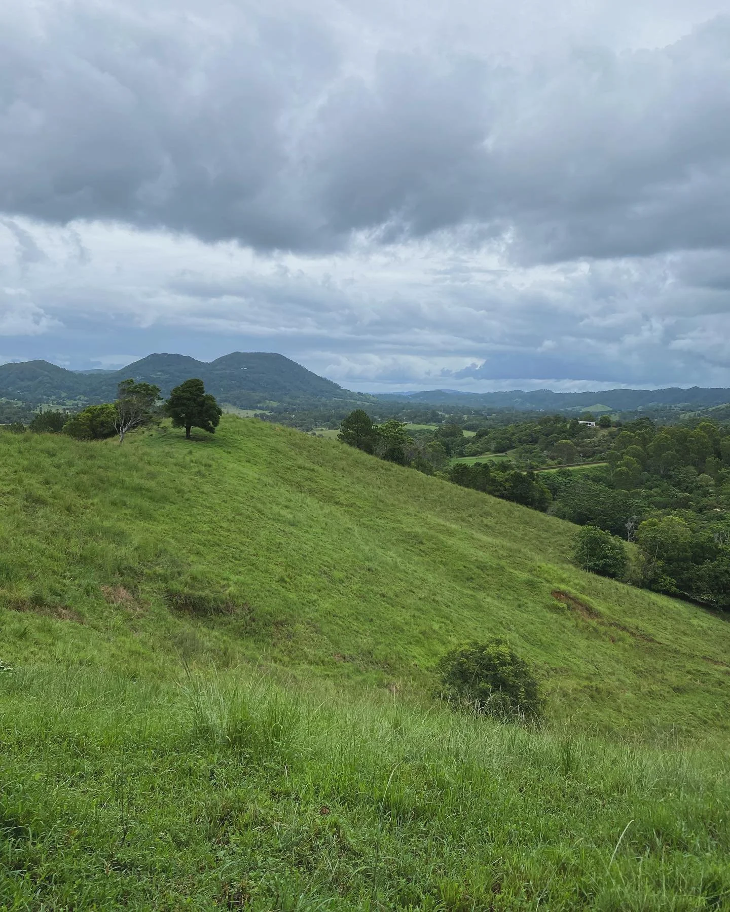 Absolute privilege to be designing a new home on this incredible site with @gjgardneraus #lookatthoseviews