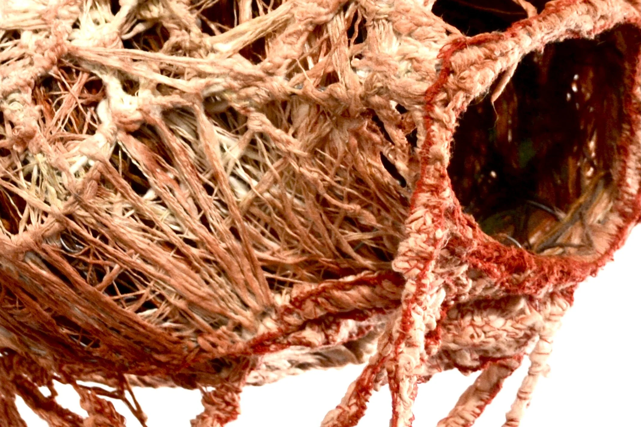 DSC_1085.jpg