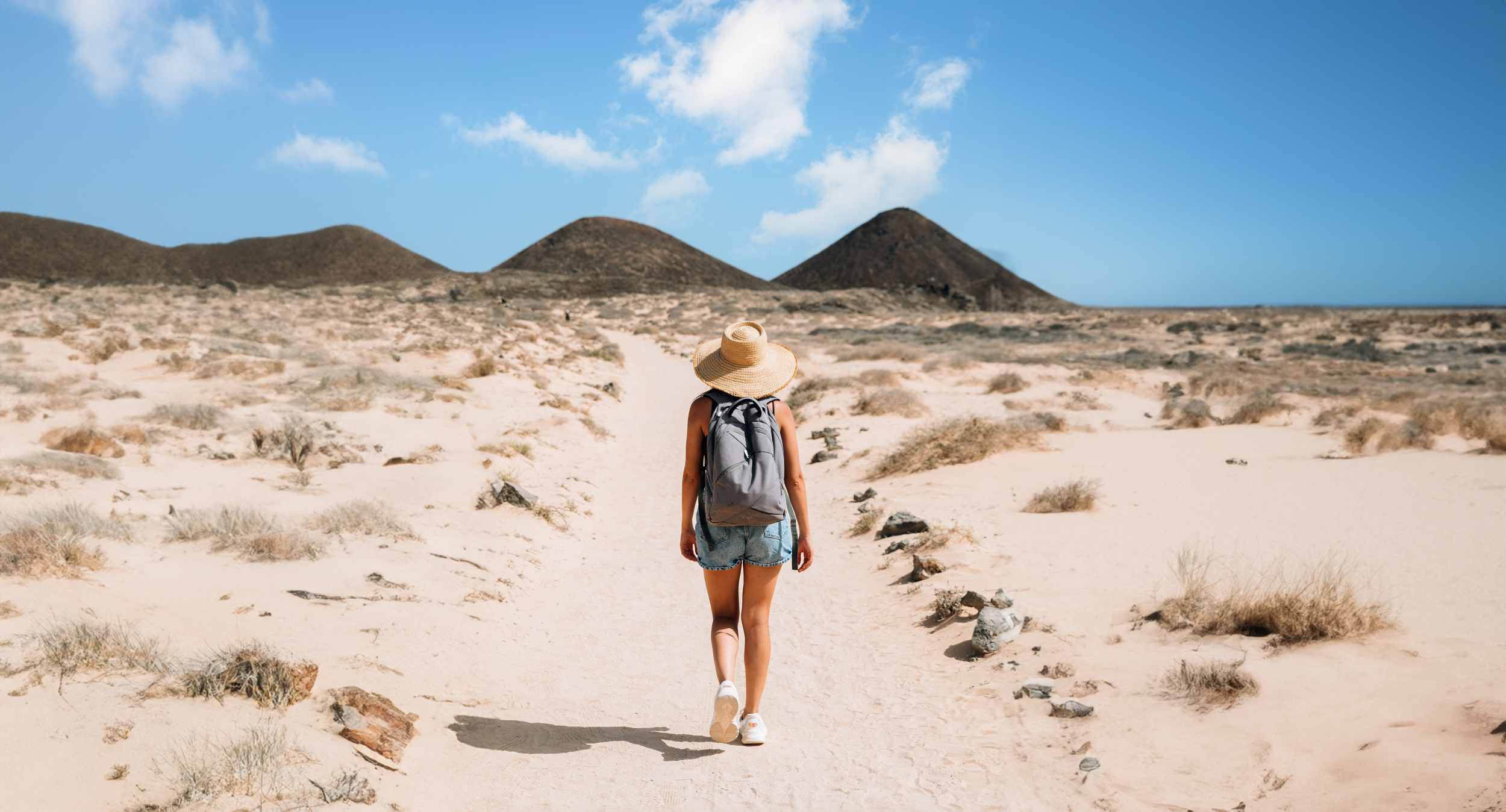 AdobeStock_477191968.png