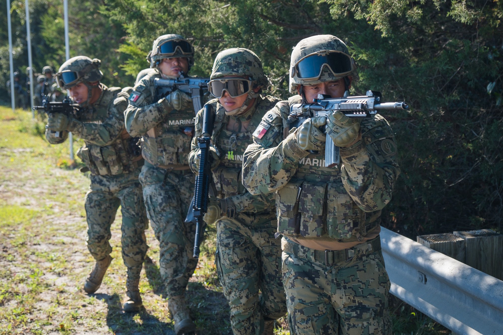 USA - defense - US Marines exercice Bold Alligator 2017 in Camp 