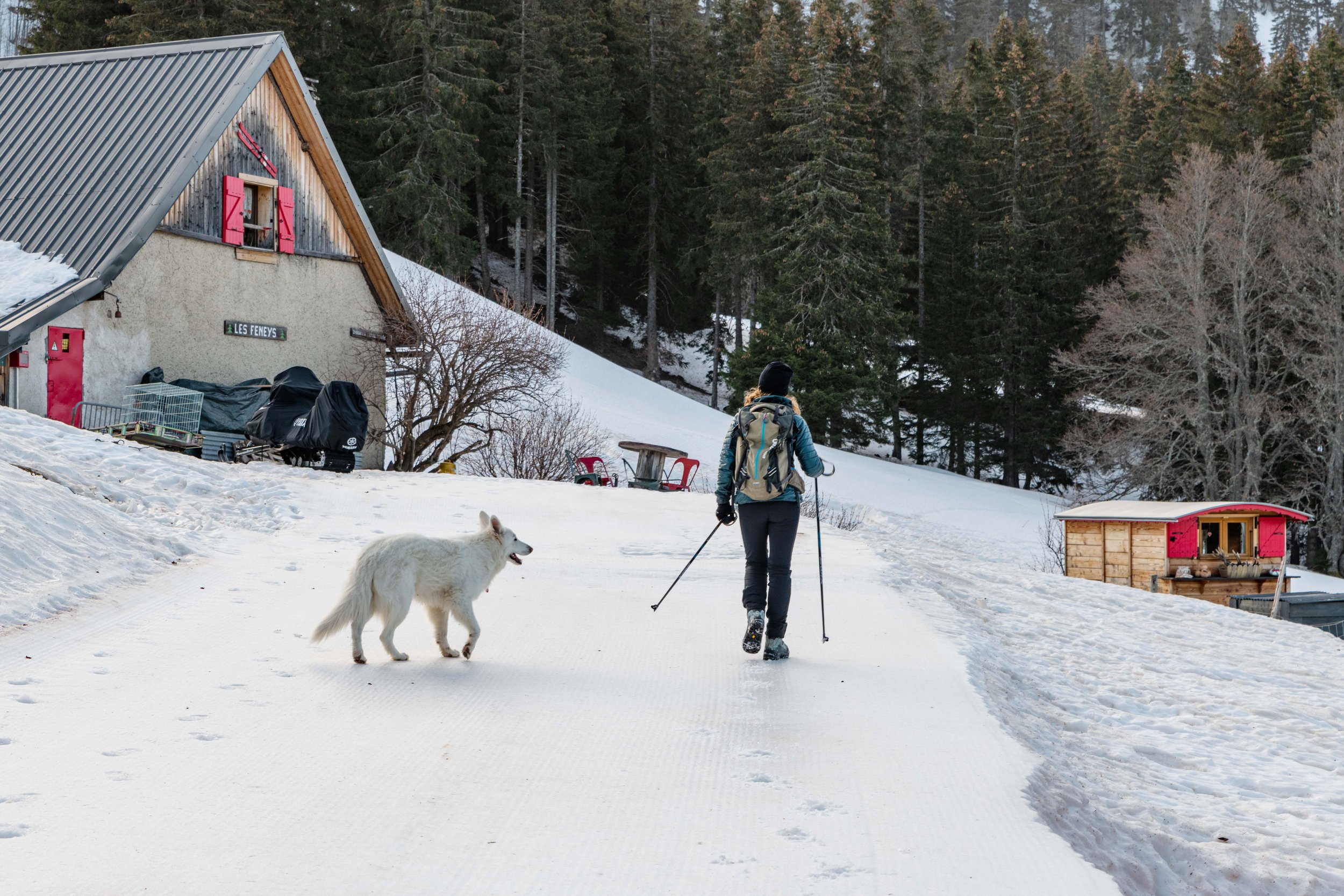  23 février 2021, Vercors, Rhone Alpes Auvergne, France : Caroline Termier et son chien rentrent de randonnée au refuge des Feneys. Elle est la gardinne de ce refuge qu'elle ouvre été et hiver. 