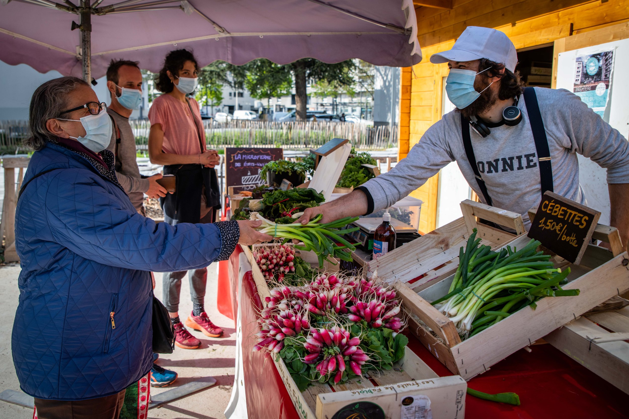 climat, ecologie, maraicher urbain, vegetalisation des villes, a