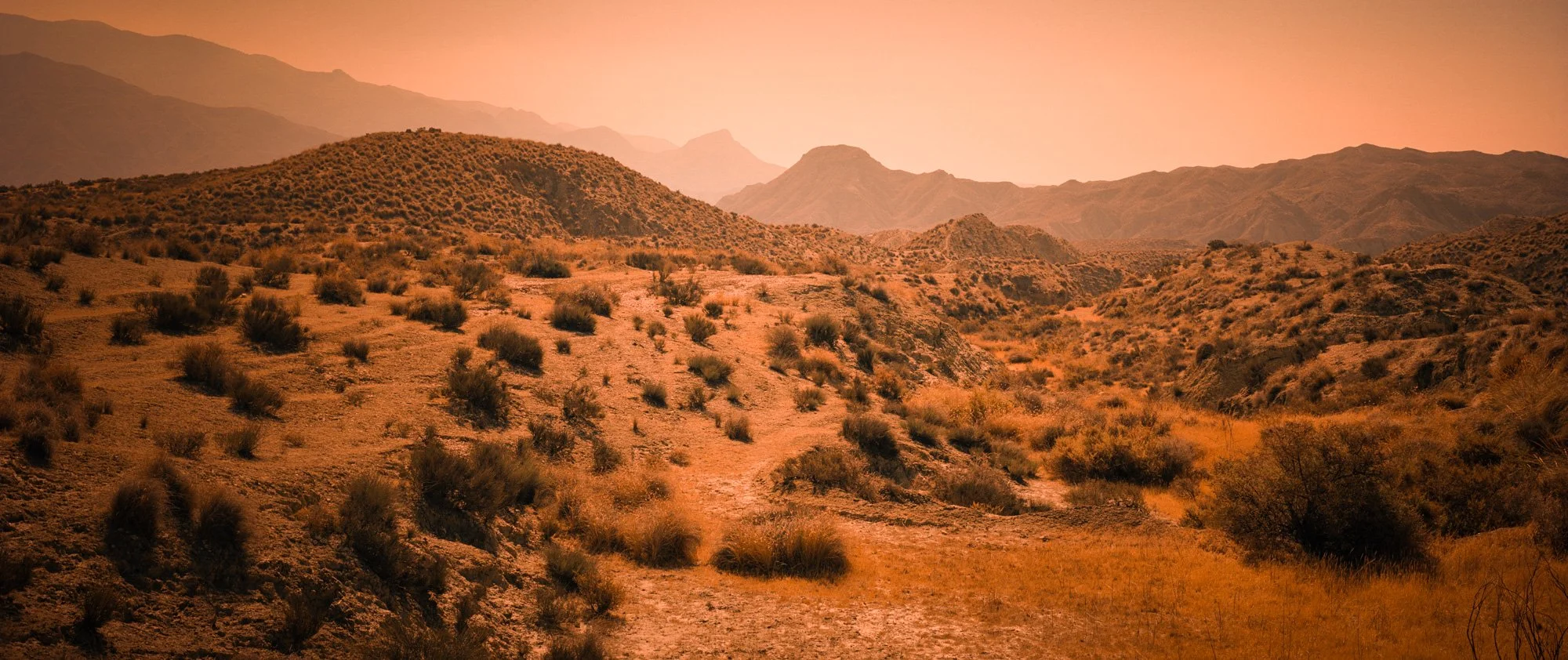 tabernas_arizona03.jpeg