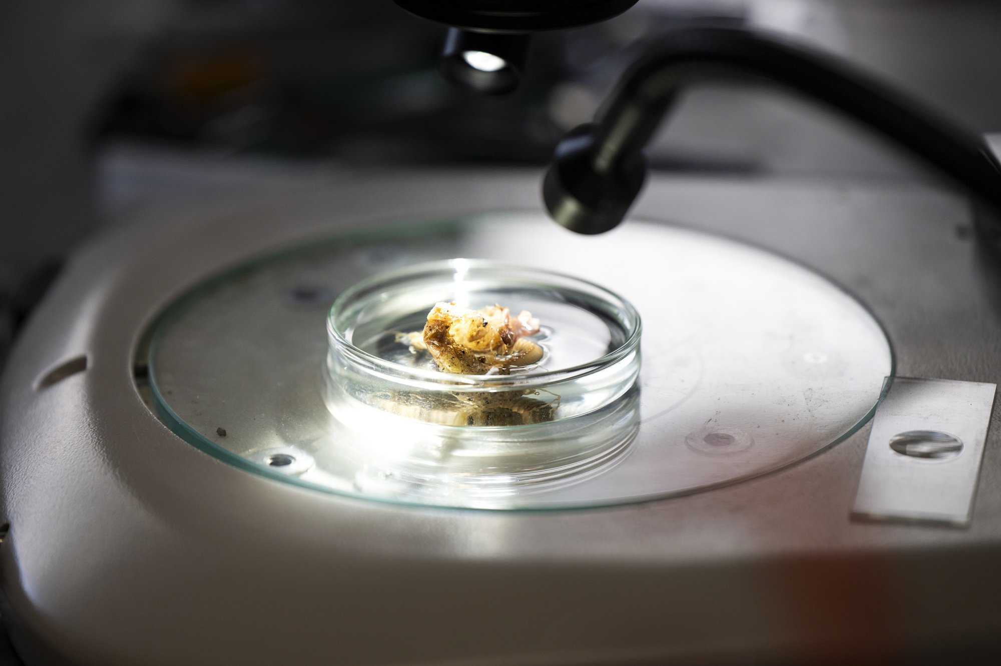 33-FRANCE-ARCACHON-SCIENTIFIQUE-LABORATOIRE EPOC-BD-EL-2.jpg
