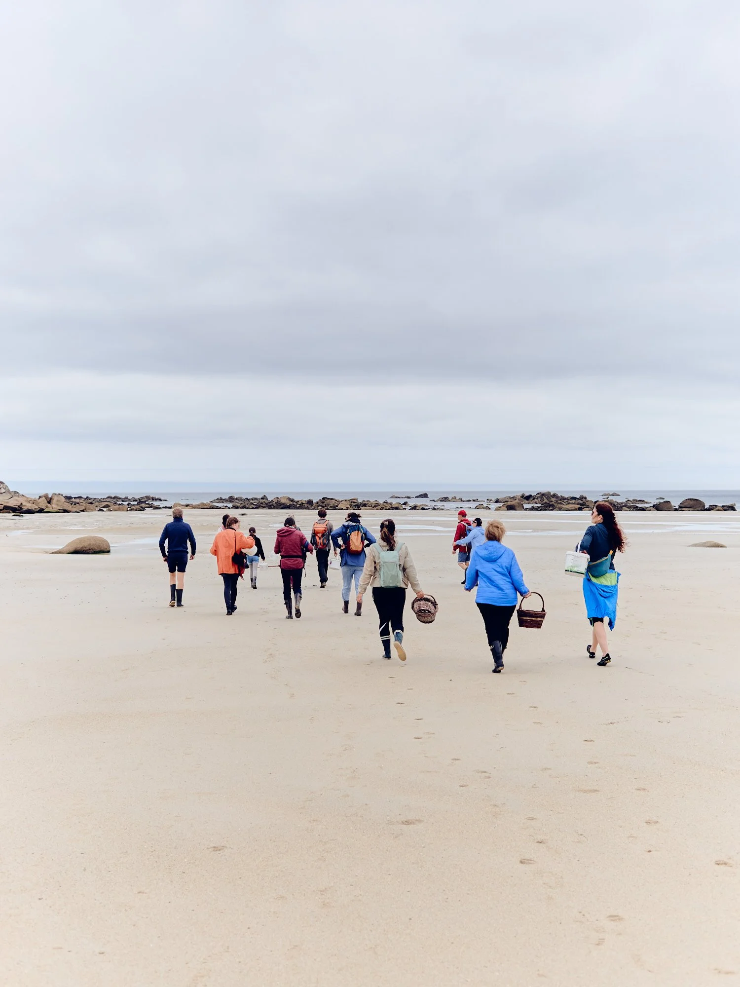 cueilleurs_dalgues_bretagne_bs_02.jpg