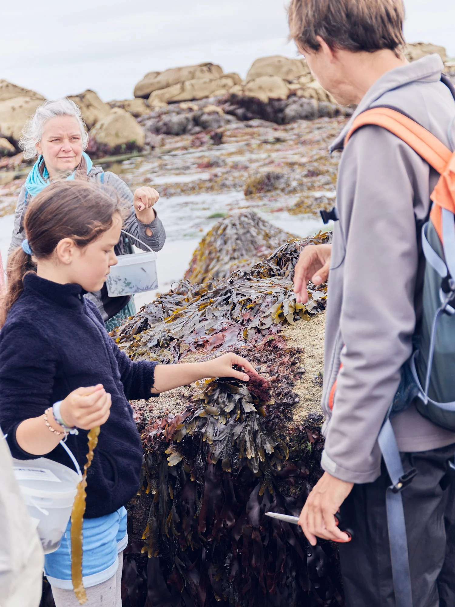 cueilleurs_dalgues_bretagne_bs_14.jpg