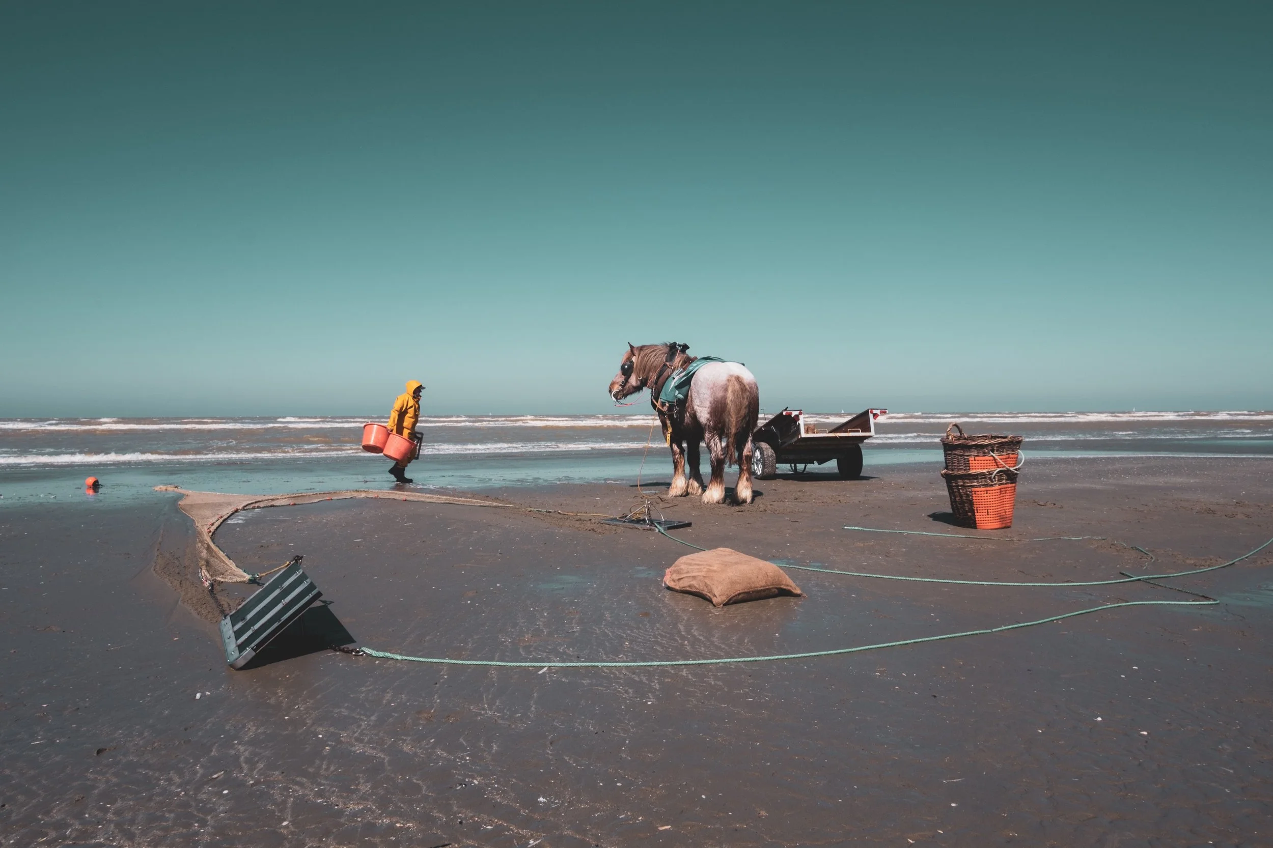 01_JM-LECLERE_BELGIUM-WESTERN _FLANDERS-HORSE_FISHERMAN_JML_0515.jpg