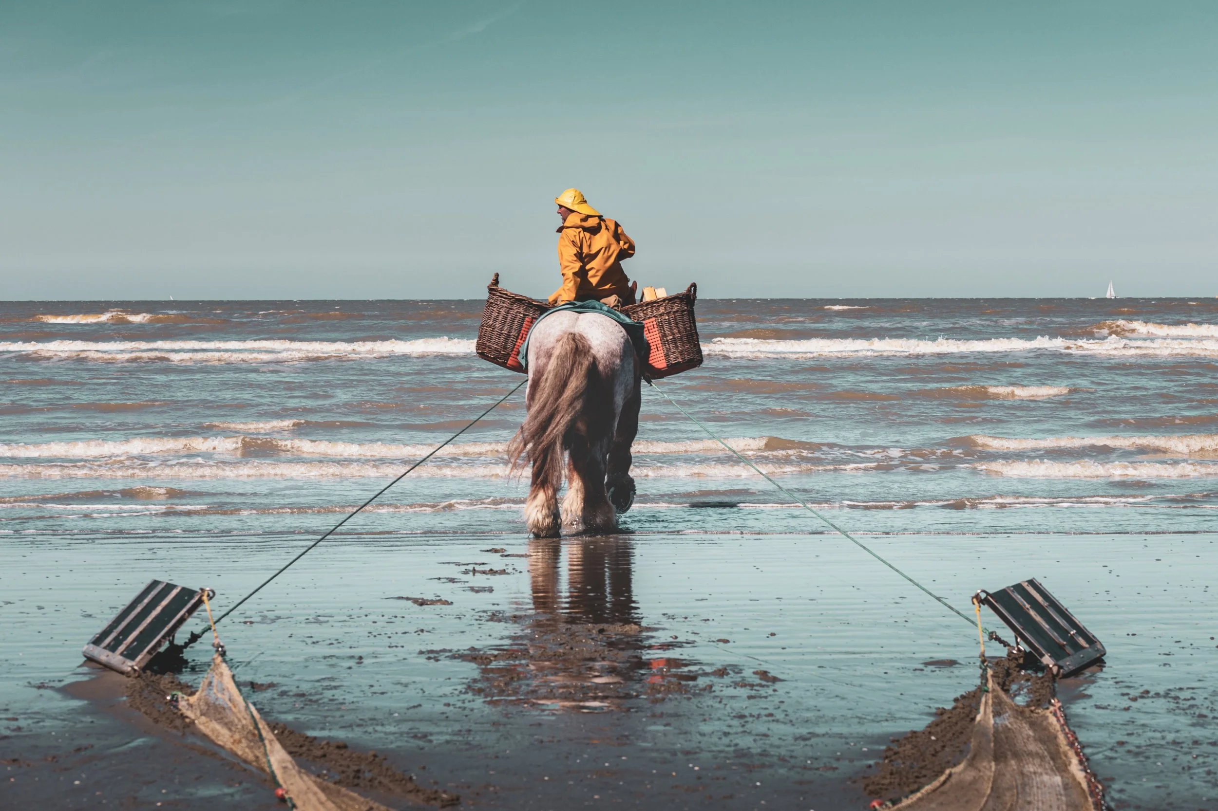 01_JM-LECLERE_BELGIUM-WESTERN_FLANDERS-HORSE_FISHERMAN_JML_6715.jpg