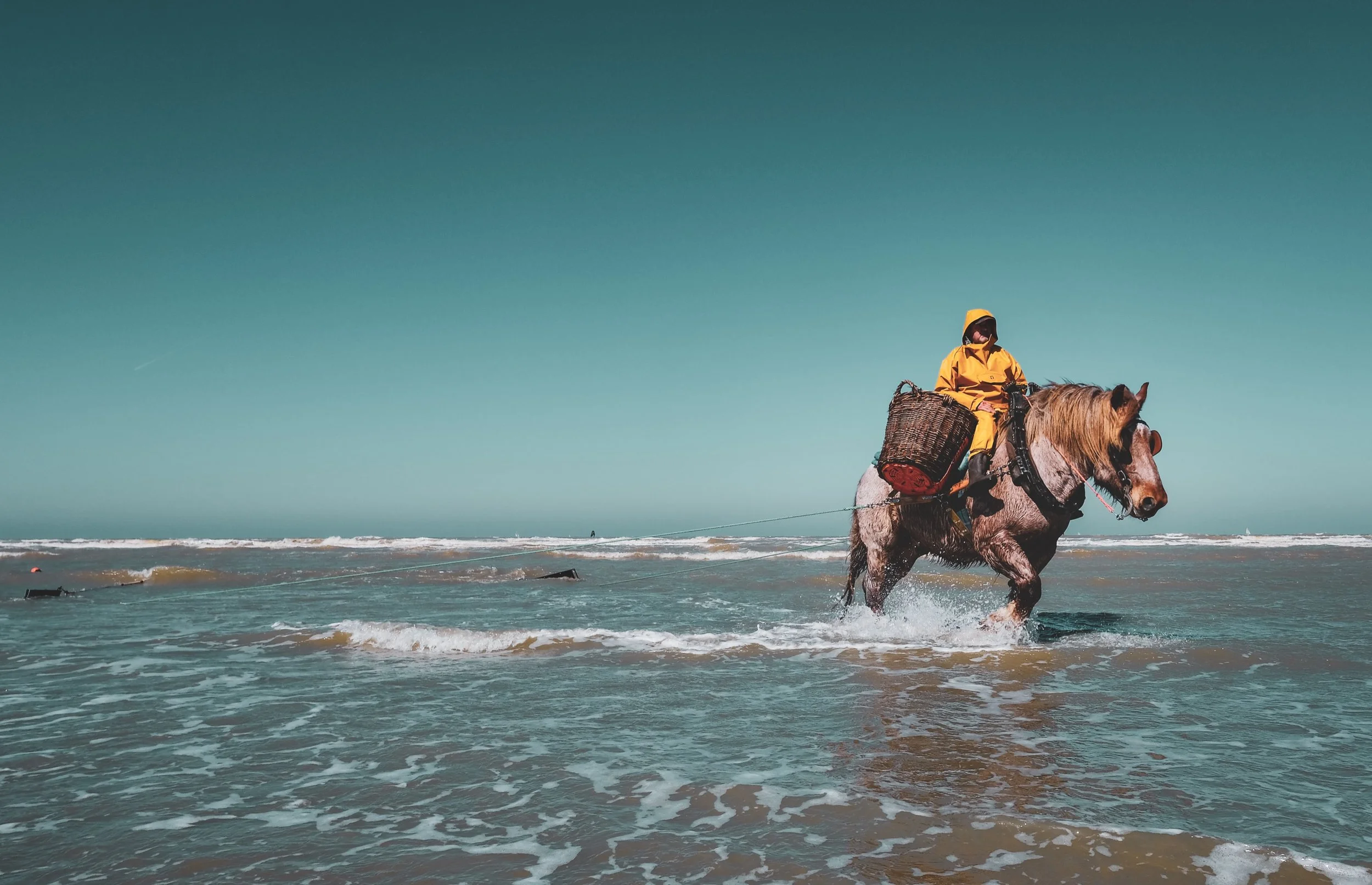 03_JM-LECLERE_BELGIUM-WESTERN_FLANDERS-HORSE_FISHERMAN_JML_0463.jpg