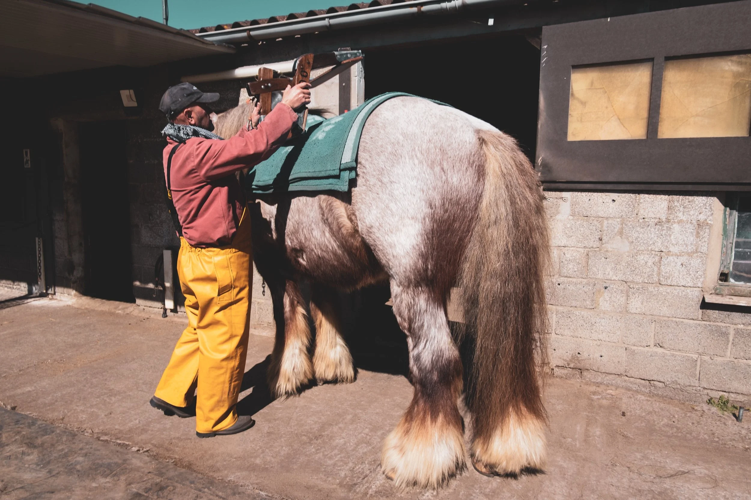05_JM-LECLERE_BELGIUM-WESTERN _FLANDERS-HORSE_FISHERMAN_JML_0809.jpg