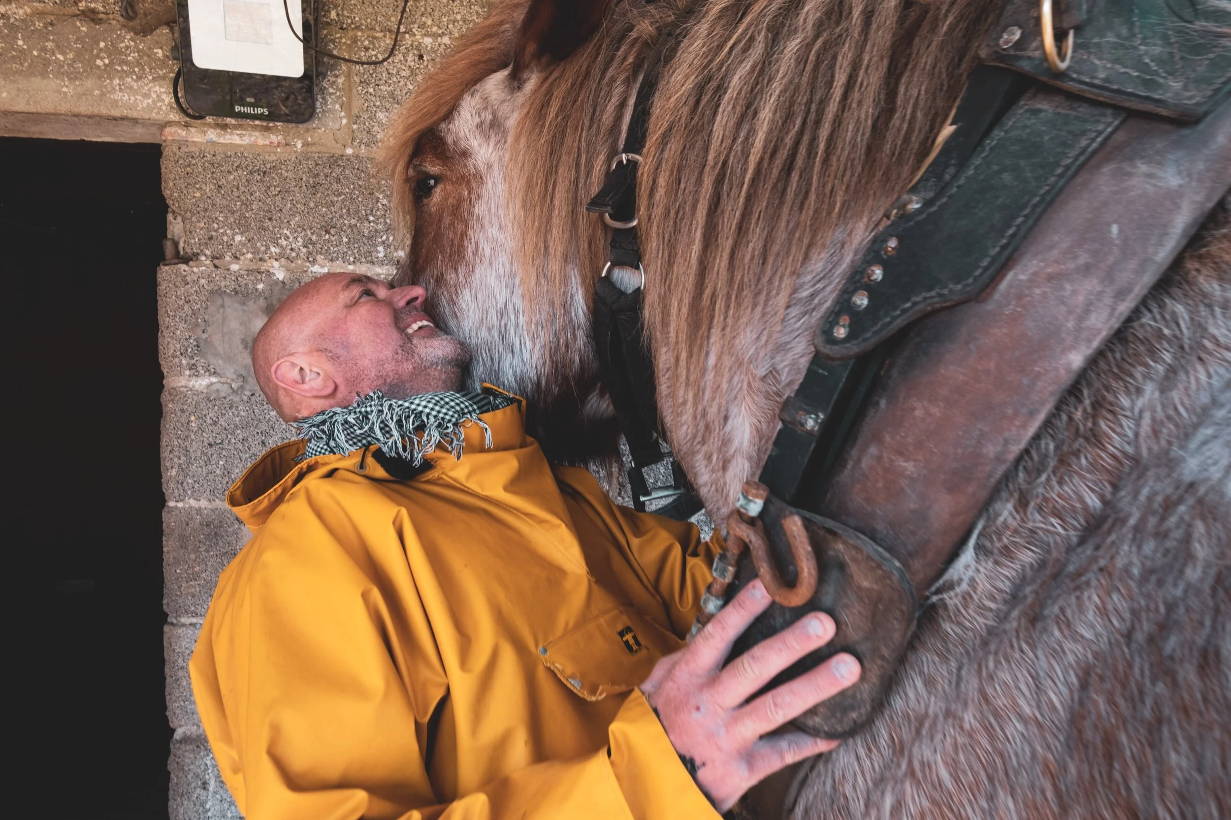 05_JM-LECLERE_BELGIUM-WESTERN_FLANDERS-HORSE_FISHERMAN_JML_0613.jpg
