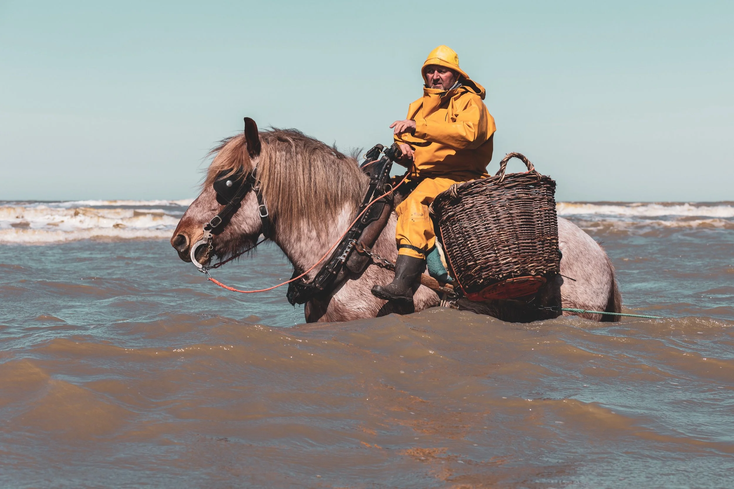12_JM-LECLERE_BELGIUM-WESTERN _FLANDERS-HORSE_FISHERMAN_JML_6730.jpg