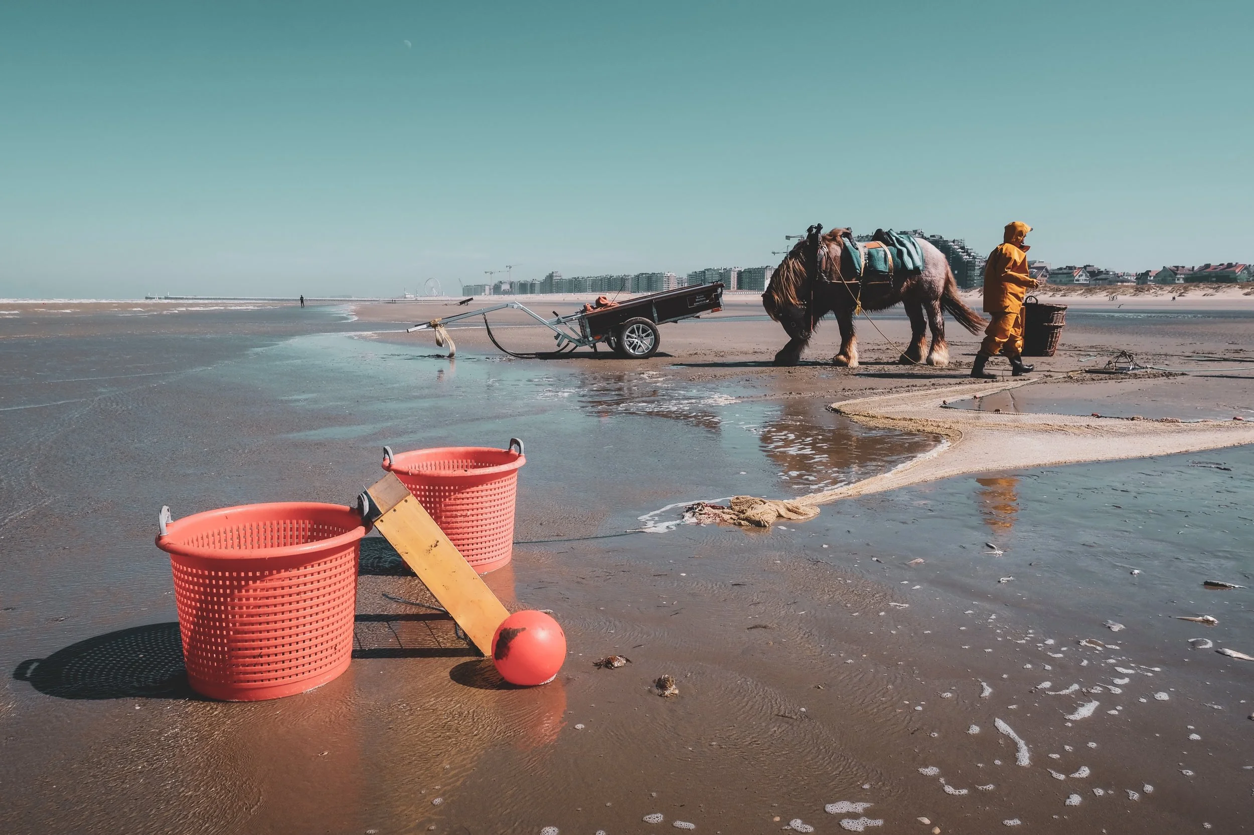 15_JM-LECLERE_BELGIUM-WESTERN _FLANDERS-HORSE_FISHERMAN_JML_0512.jpg