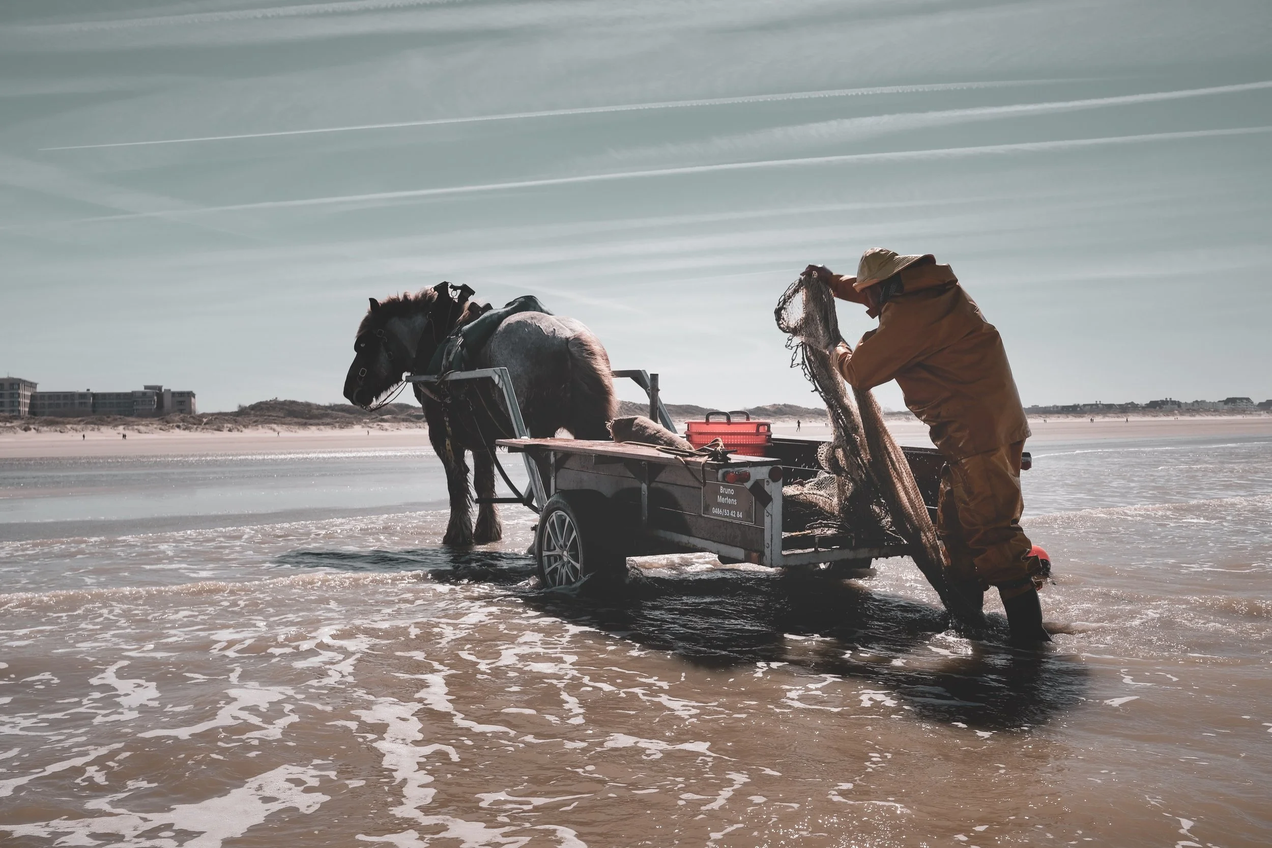 15_JM-LECLERE_BELGIUM-WESTERN _FLANDERS-HORSE_FISHERMAN_JML_1108.jpg