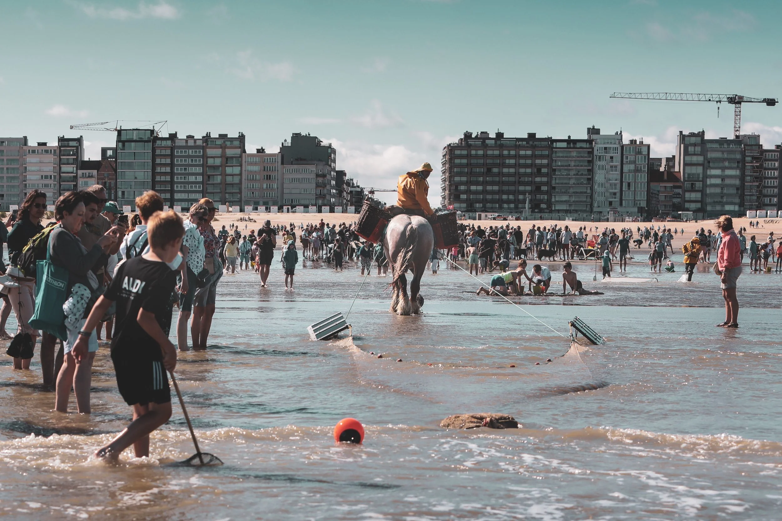 20_JM-LECLERE_BELGIUM-WESTERN_FLANDERS-HORSE_FISHERMAN_JML_1055.jpg