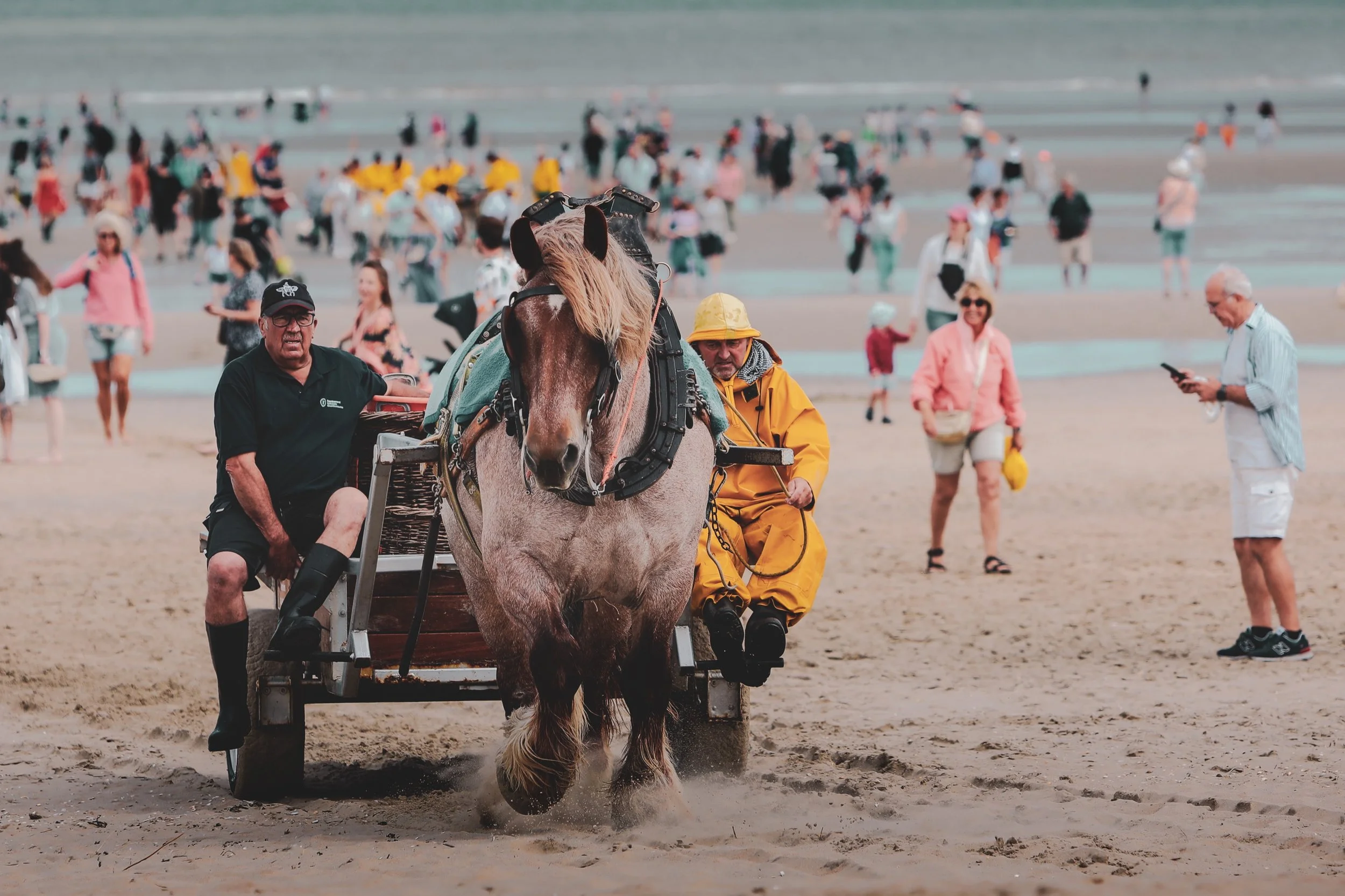 22_JM-LECLERE_BELGIUM-WESTERN _FLANDERS-HORSE_FISHERMAN_JML_1284.jpg