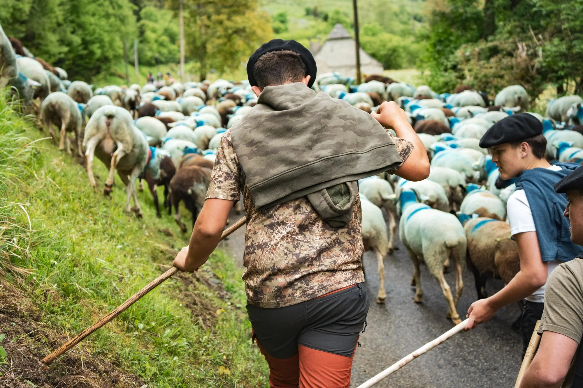 TRANSHUMANCE PYRENEES - JONATHAN CATHALA - SITE COLLECTIF DR-29.jpg
