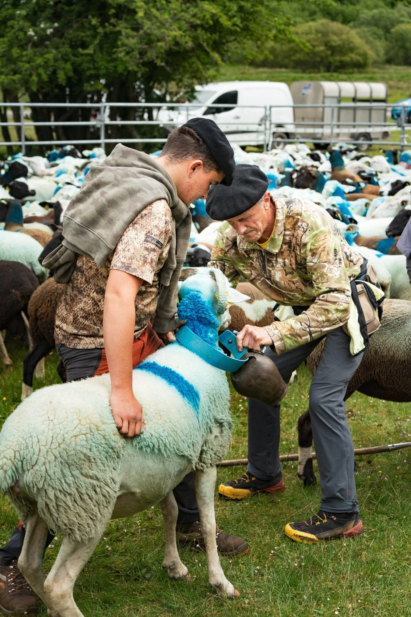 TRANSHUMANCE PYRENEES - JONATHAN CATHALA - SITE COLLECTIF DR-38.jpg