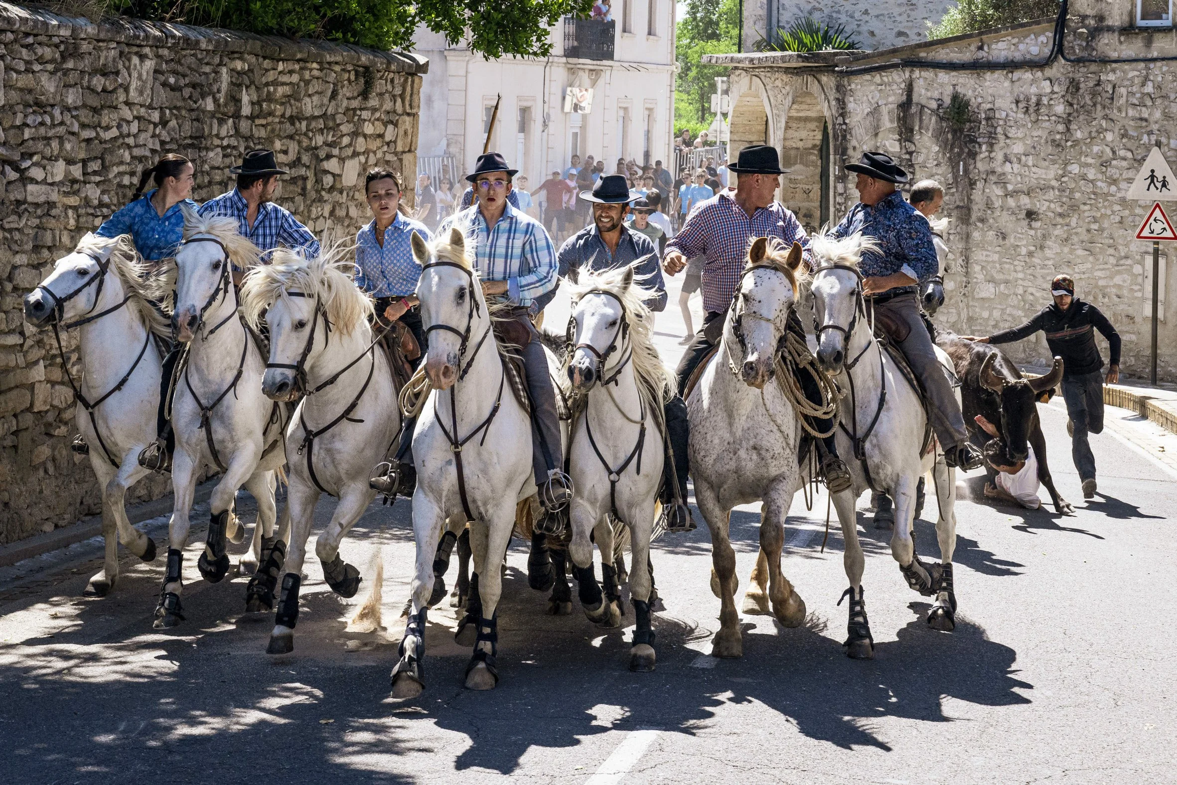 Devenir gardian en Camargue_9.jpg