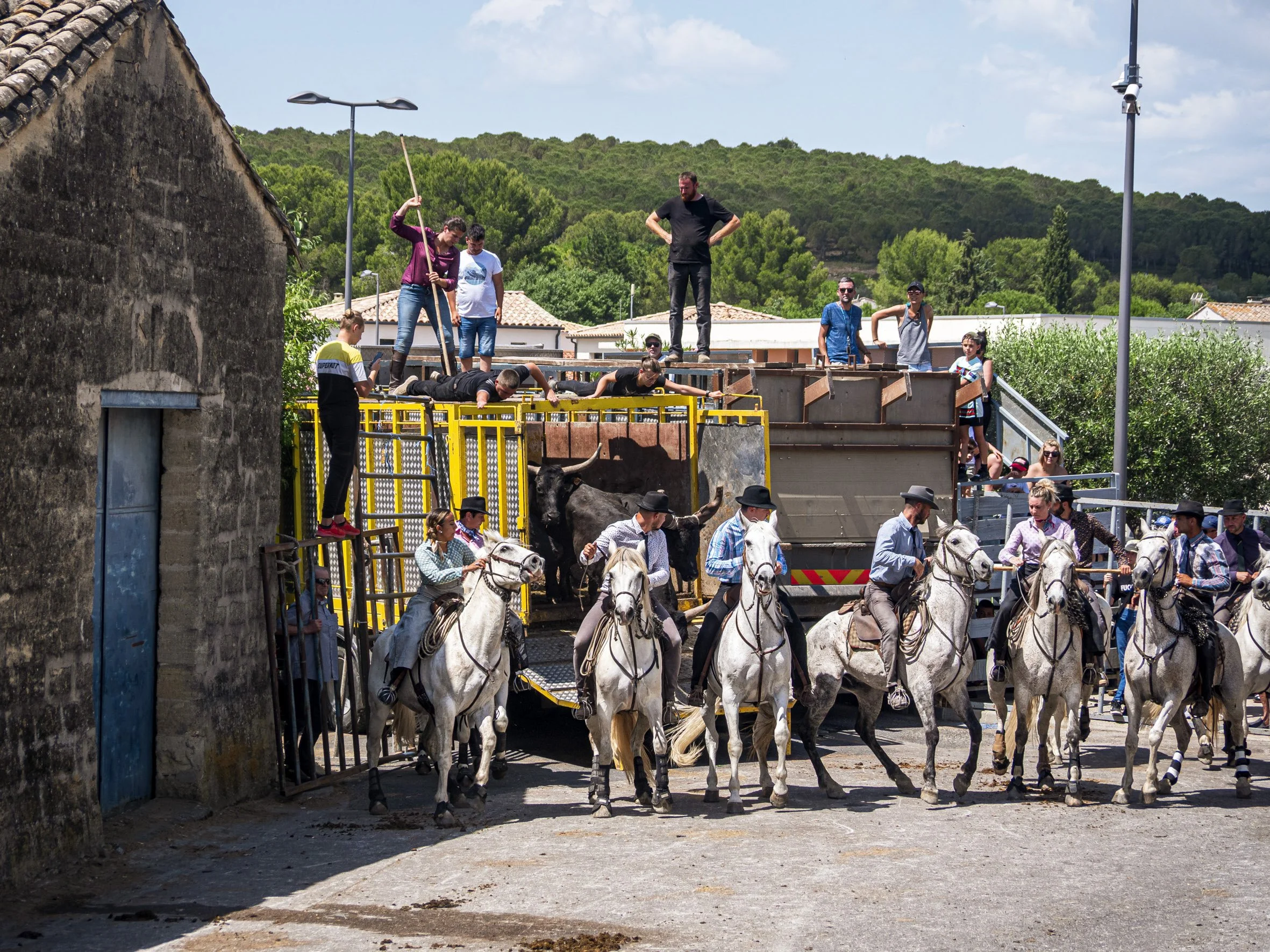 Devenir gardian en Camargue_10.jpg