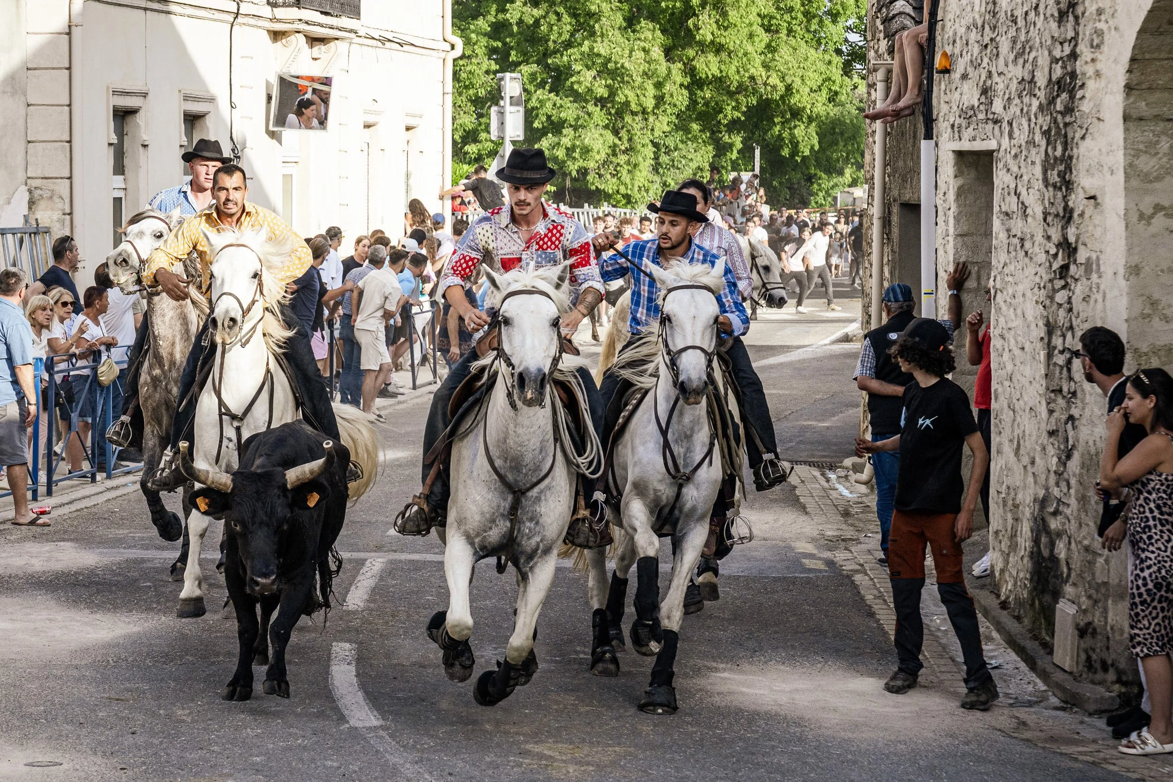 Devenir gardian en Camargue_11.jpg