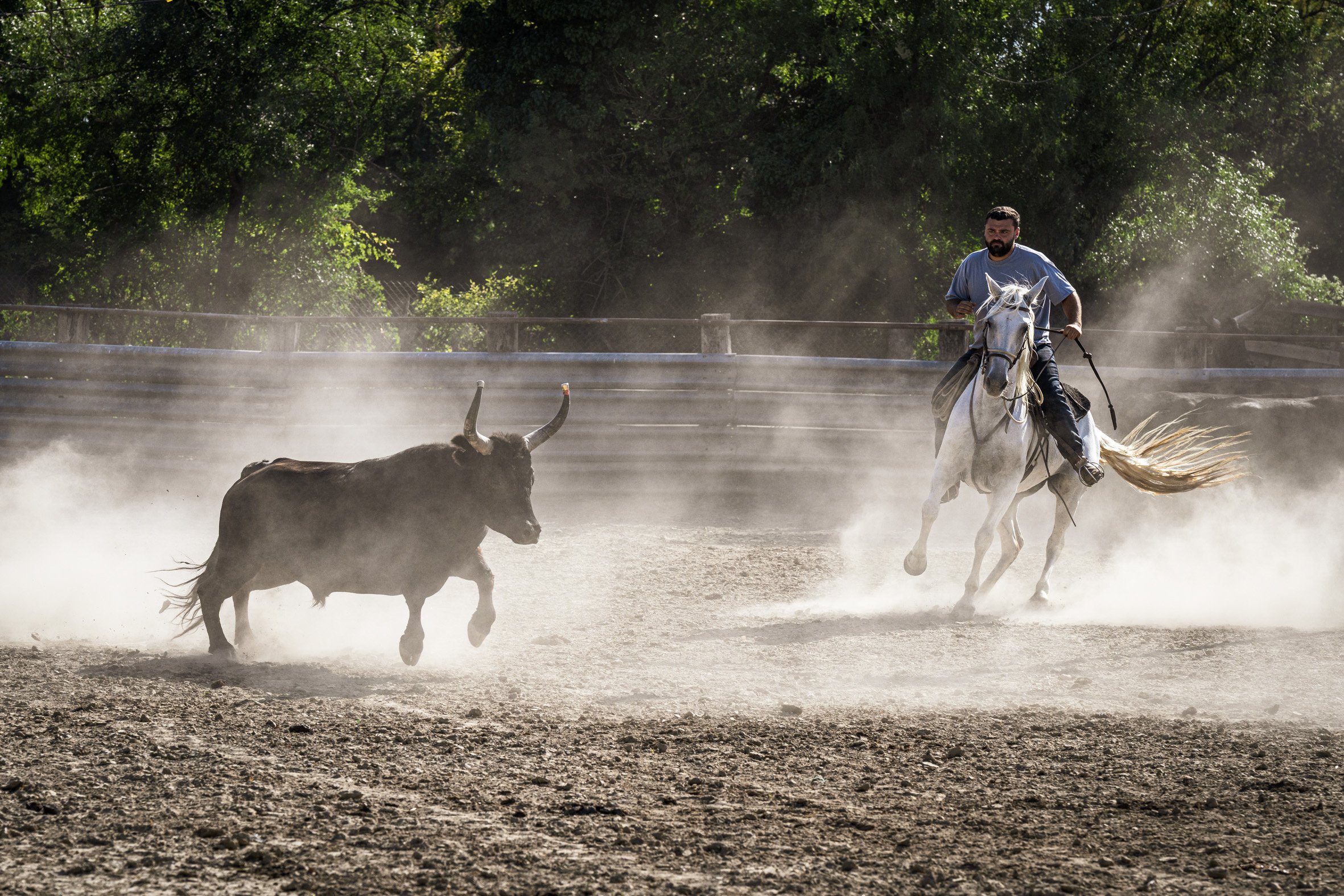 Devenir gardian en Camargue_15.jpg
