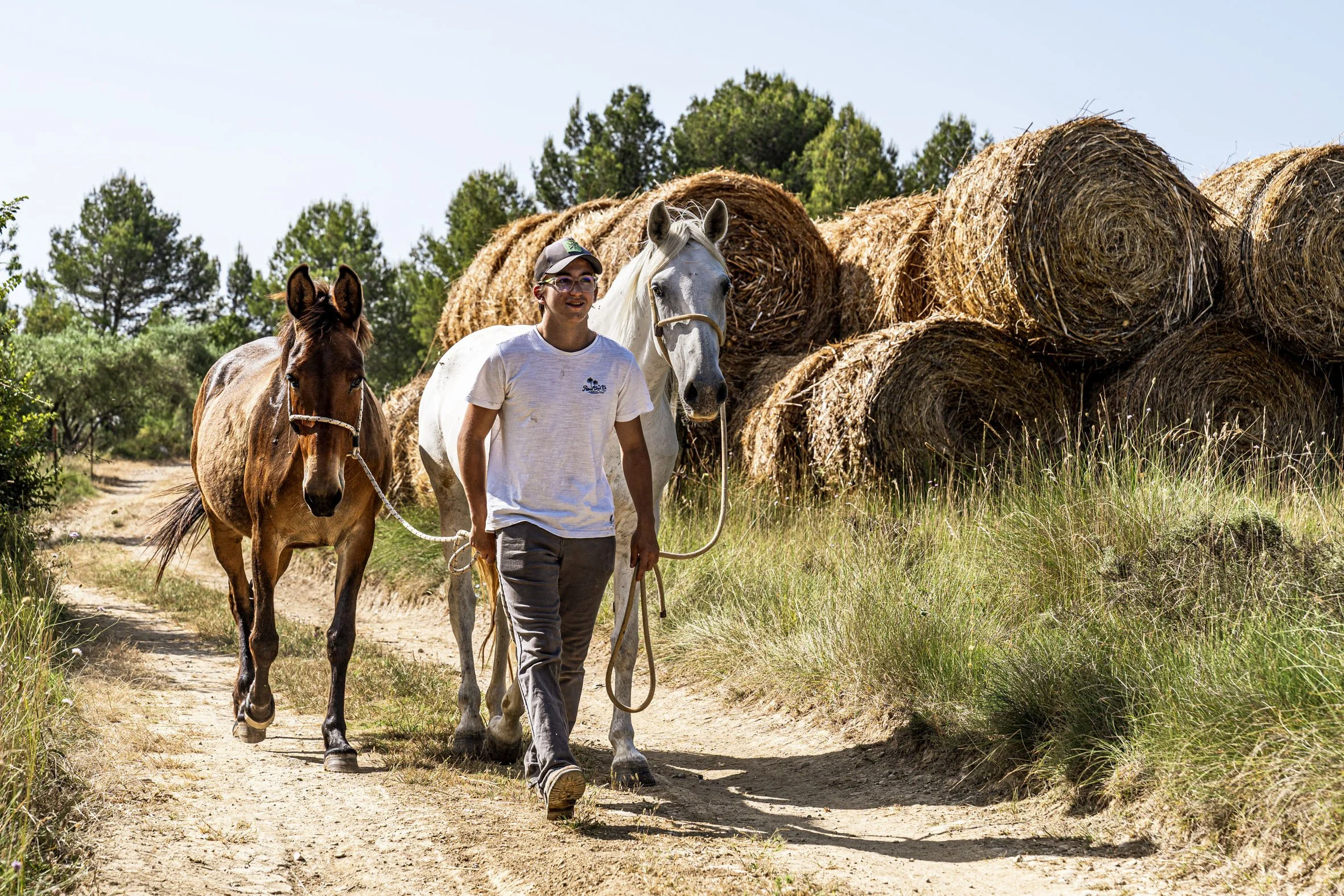 Devenir gardian en Camargue_17.jpg